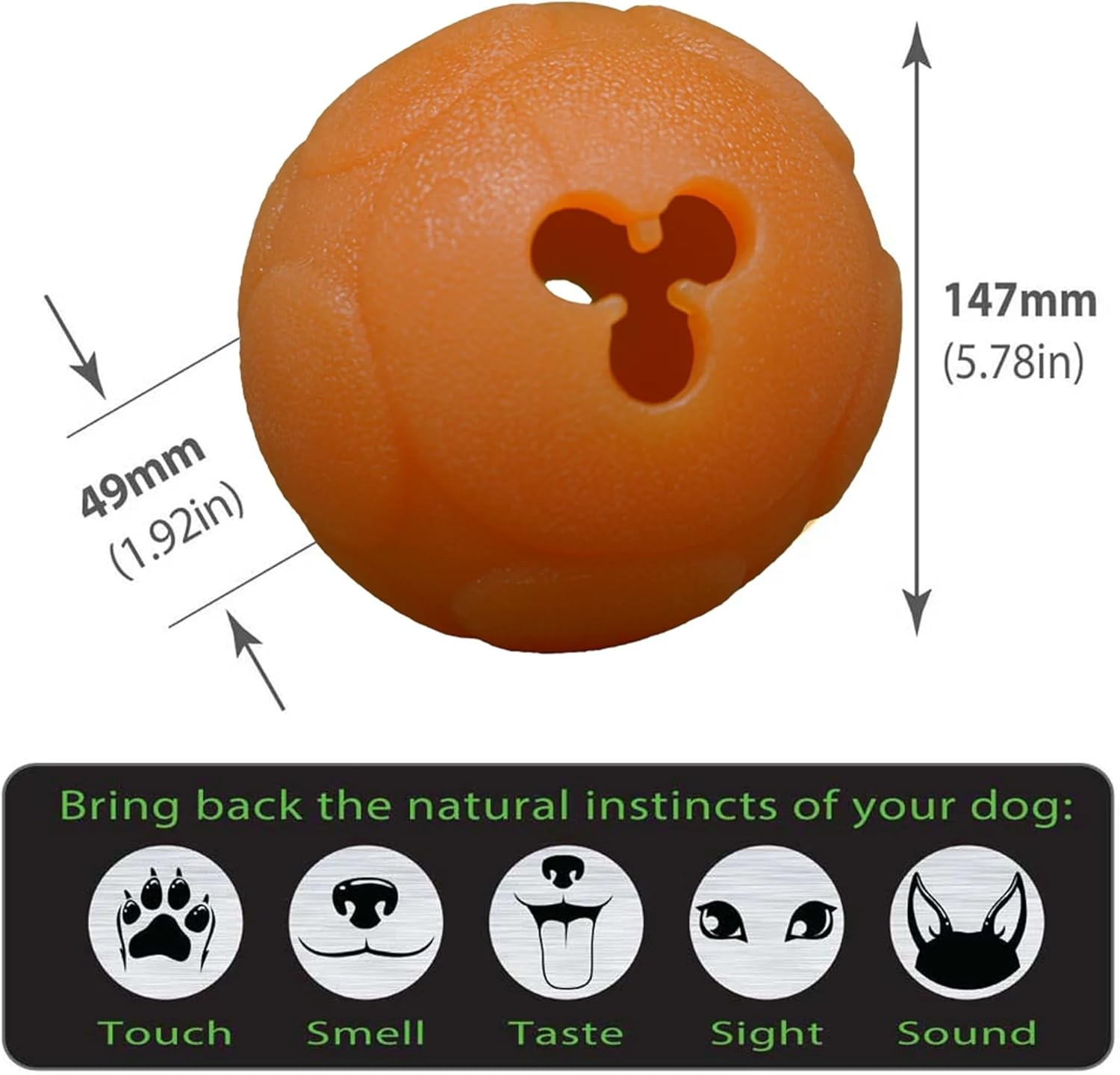 Aussie Dog BB-03 Play Buddy Ball, Large image number 1