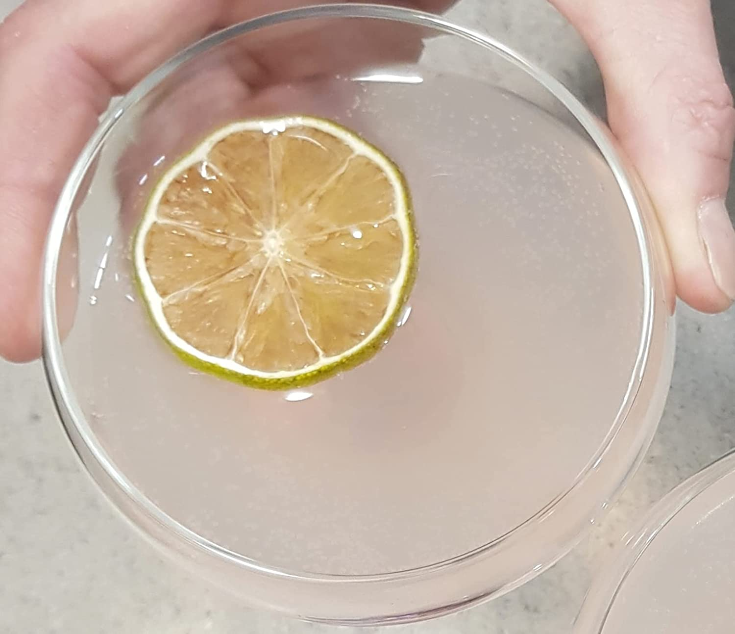 ADD SOME FRUIT - 100% DEHYDRATED LIME - 20G Pouch image number 2