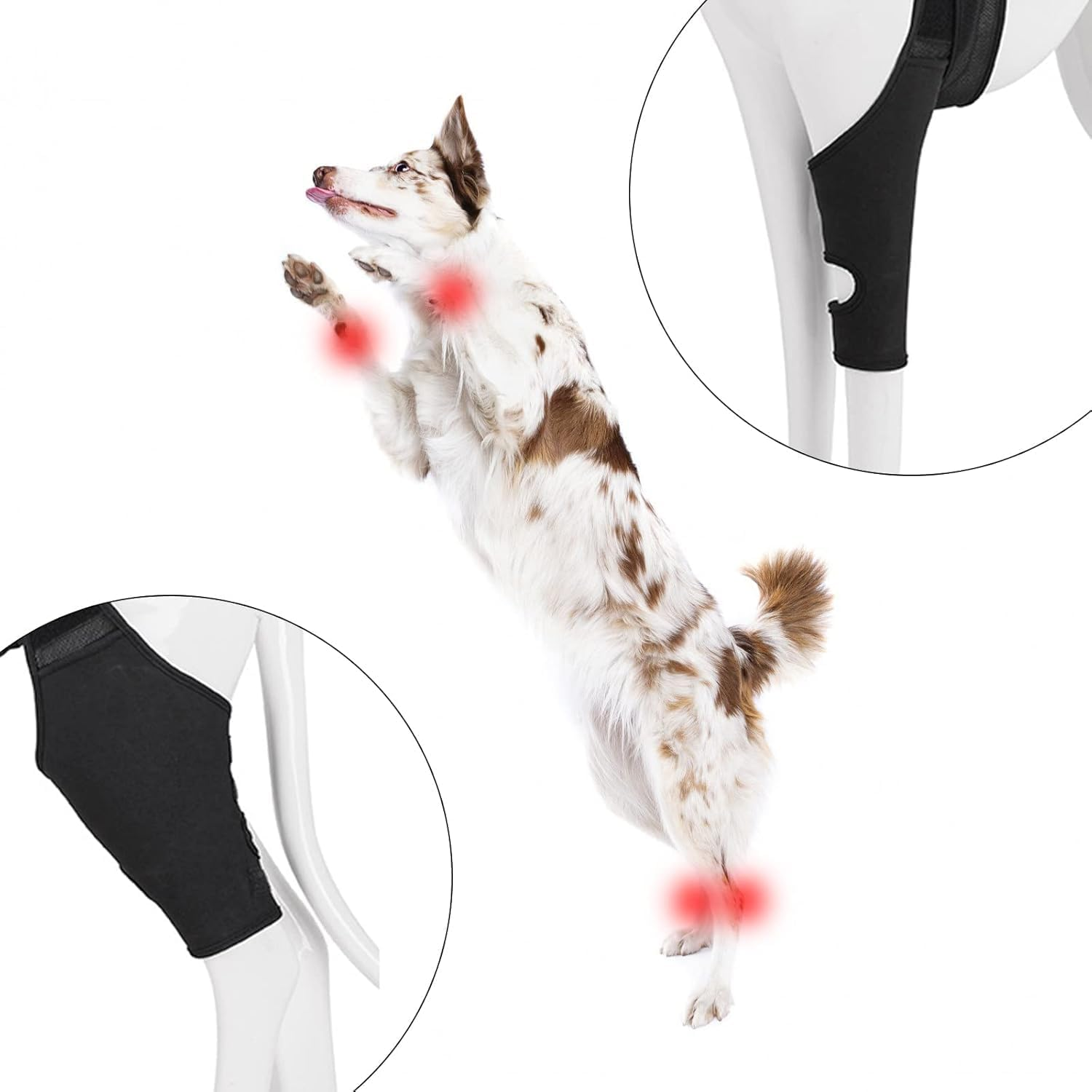 Pet Dog Knee Brace Adjustable Multifunctional Protective Gear with Magic Stickers for Wounds Heals Black M (XL, Black) image number 4