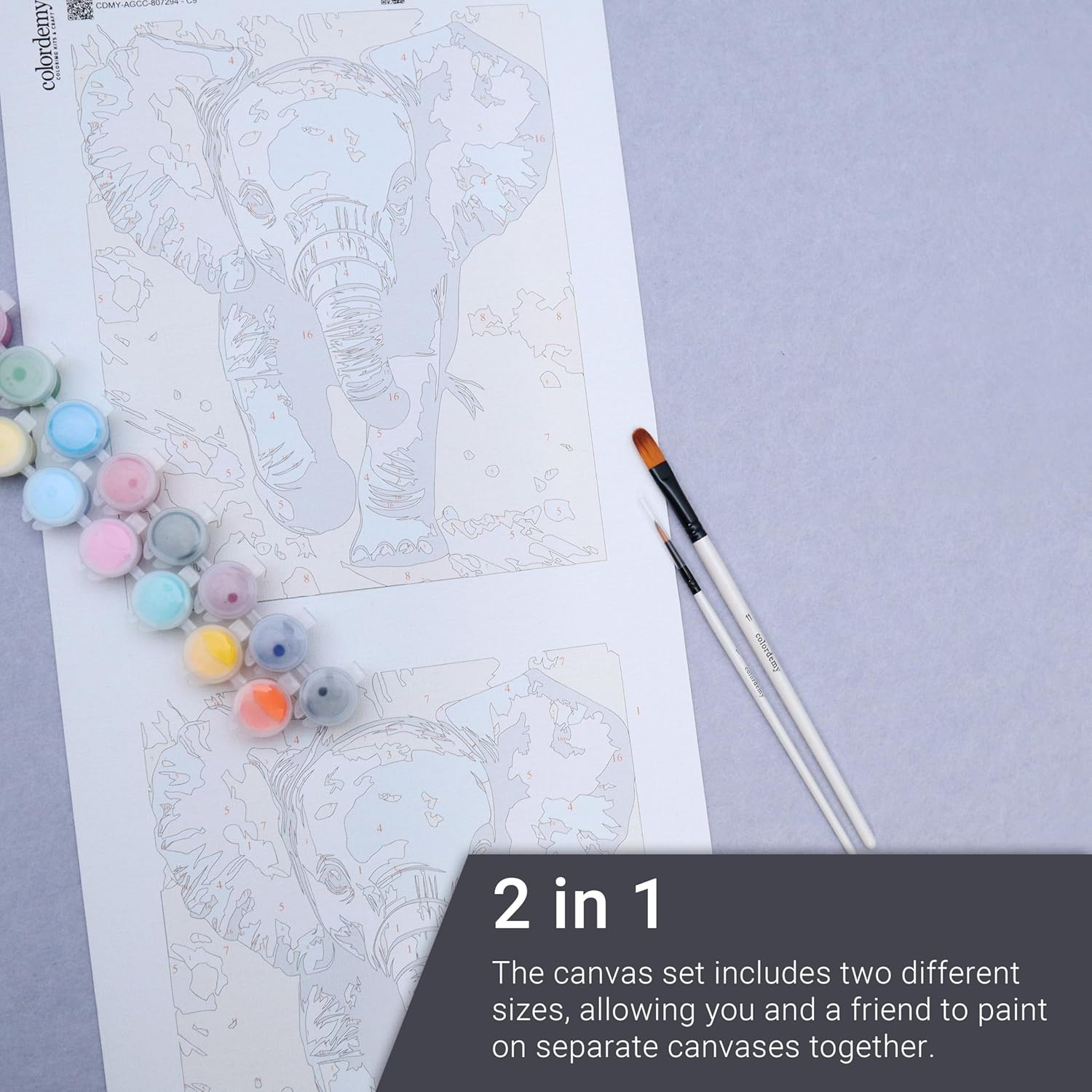 COLORDEMY 2-In-1 Paint by Numbers Kit - Rolled Canvases (20X25Cm & 20X20Cm), 16 Colours, Brushes & Paints Included - Fun for Adults & Kids, Perfect for Parties or Group Painting (Giraffe Design) image number 1