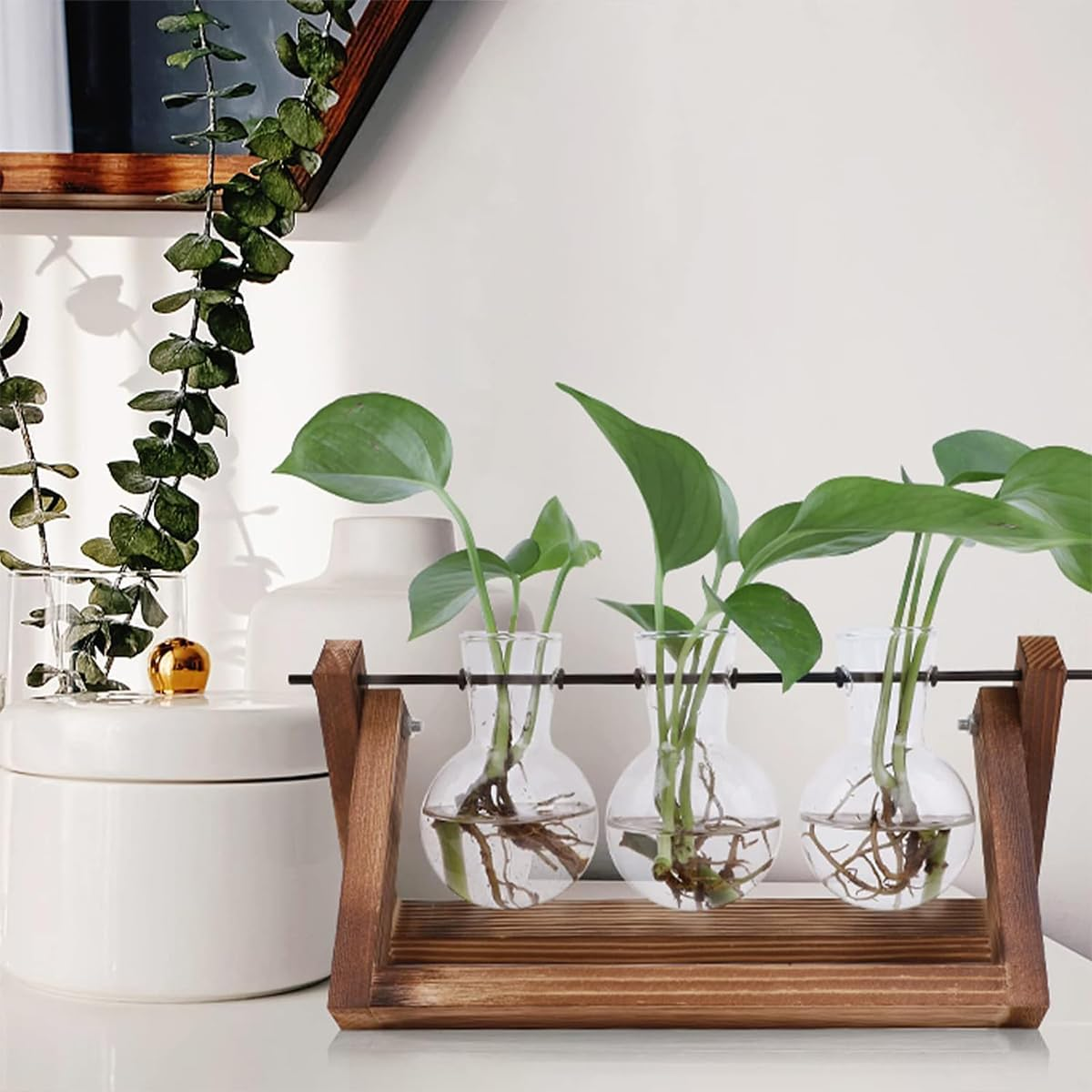 Plant Terrarium Wooden Stand Propagation Stations Glass Hydroponics Bulb Vase Desk Plants Holder for Gardening Office Home Decor 3 Glass Vase image number 1