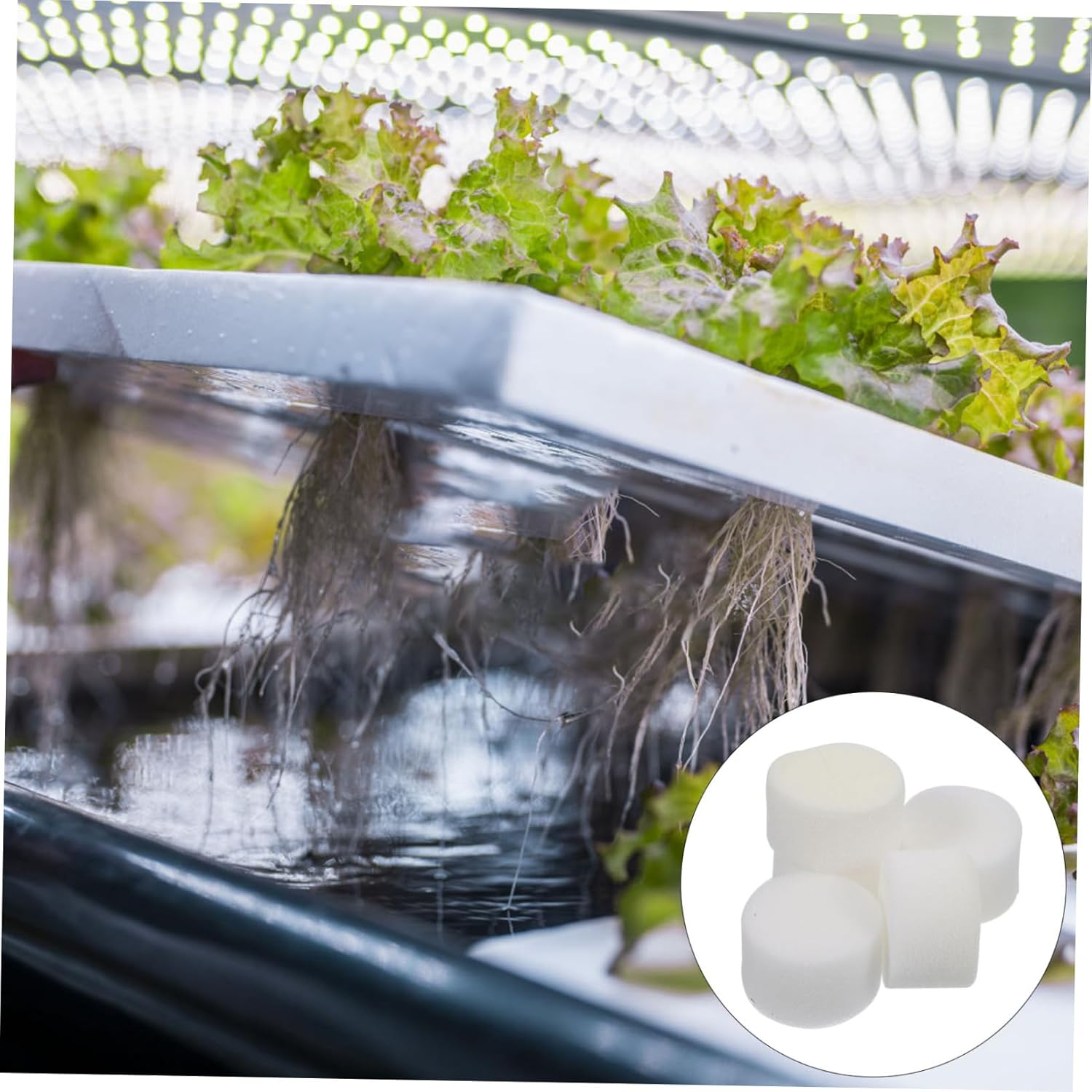 100Pcs Hydroponic Cotton Planting Sponge Soil-Block Hydroponic Planting Tool Sponges Blocks for Seed Germination Soilless Growing Vegetable image number 5