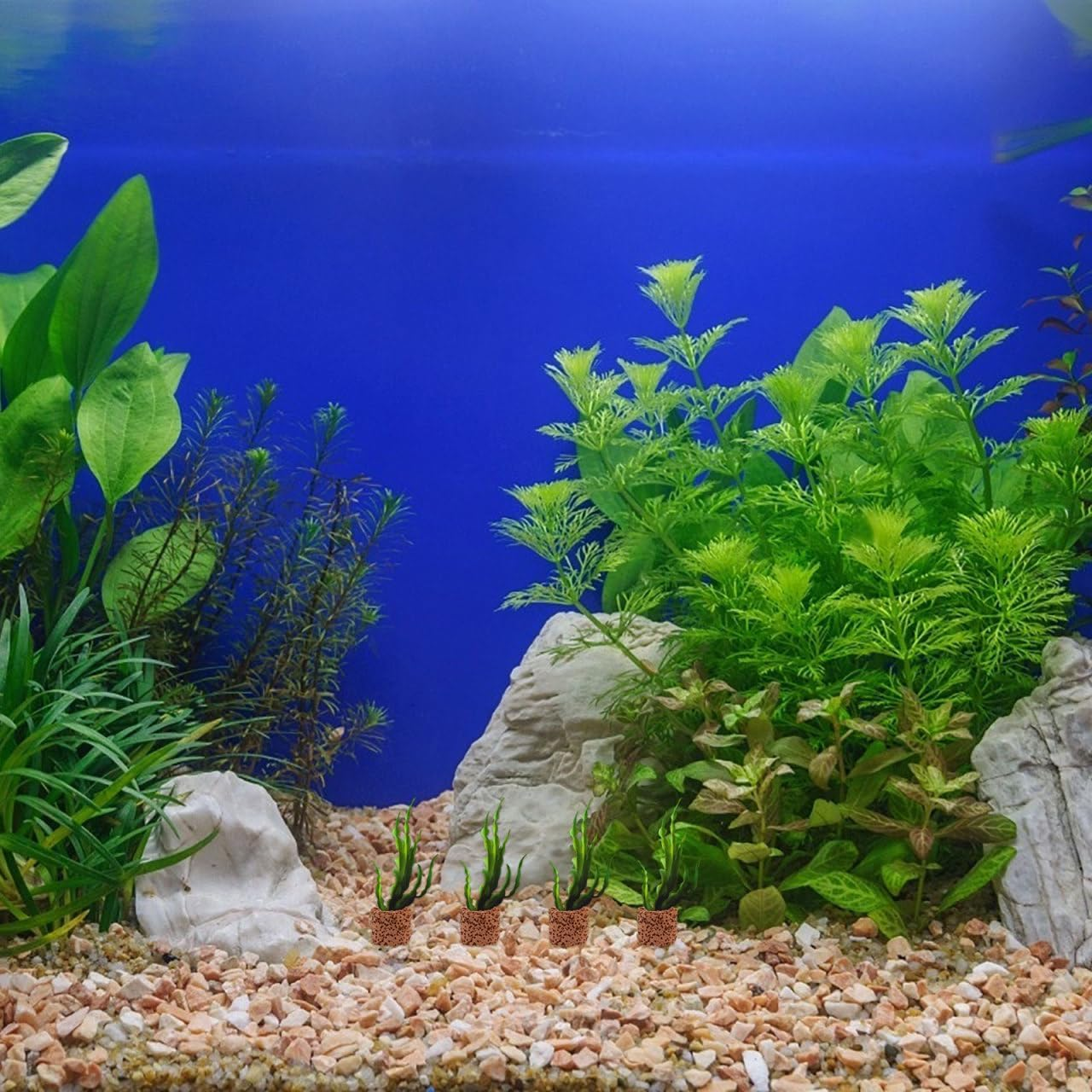 POPETPOP Aquarium Plant Fixed Rings 30 Pcs Pottery Weighted Water Plant Holders for Fish Tank Landscaping Decoration without Substrate image number 4