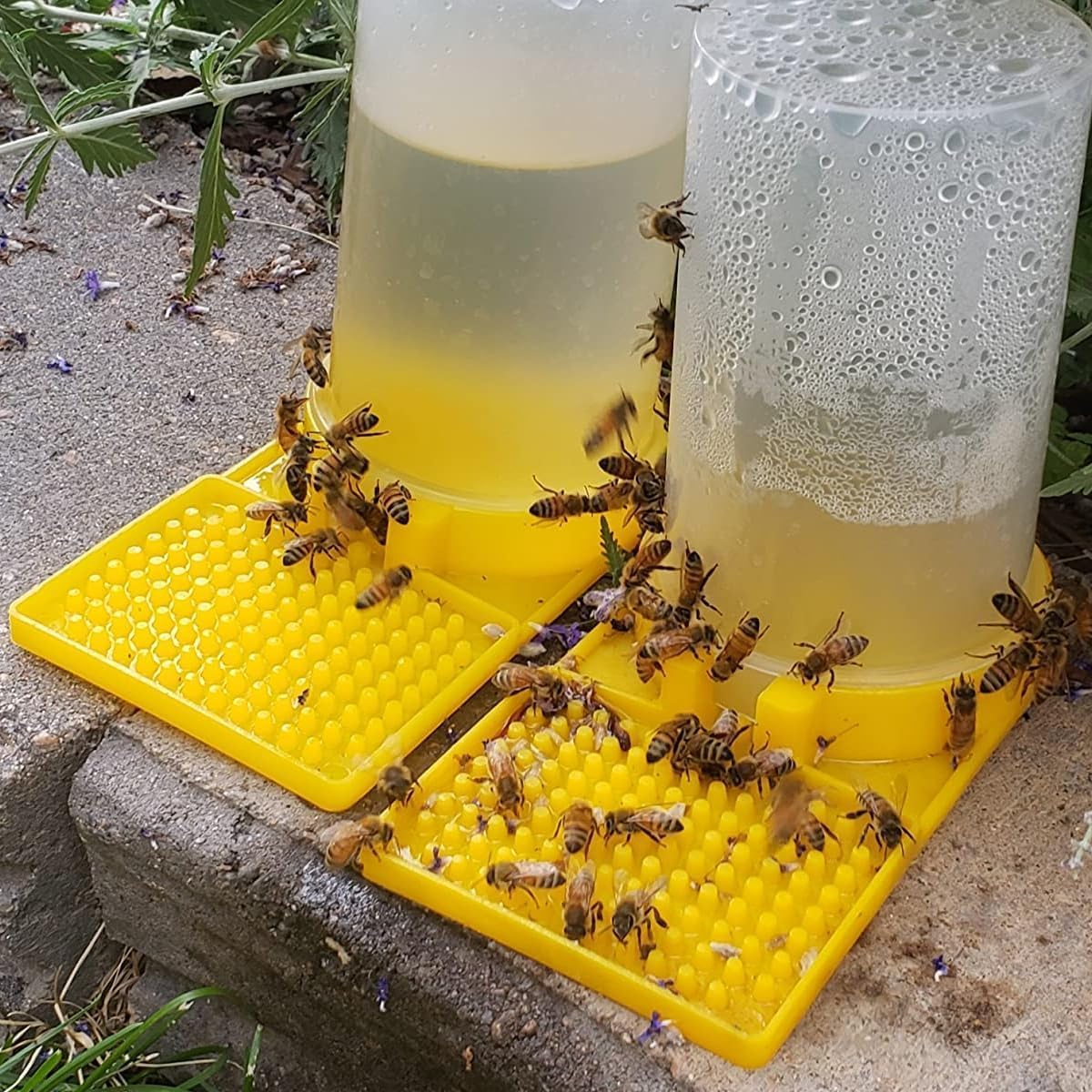 AIMALL 10PCS Bee Feeder Kit - High-Capacity Beekeeping Feeder with Sealed Design for Hive Entrance - Durable and Transparent Point Feeder - 2.75X5.12 Inches image number 2