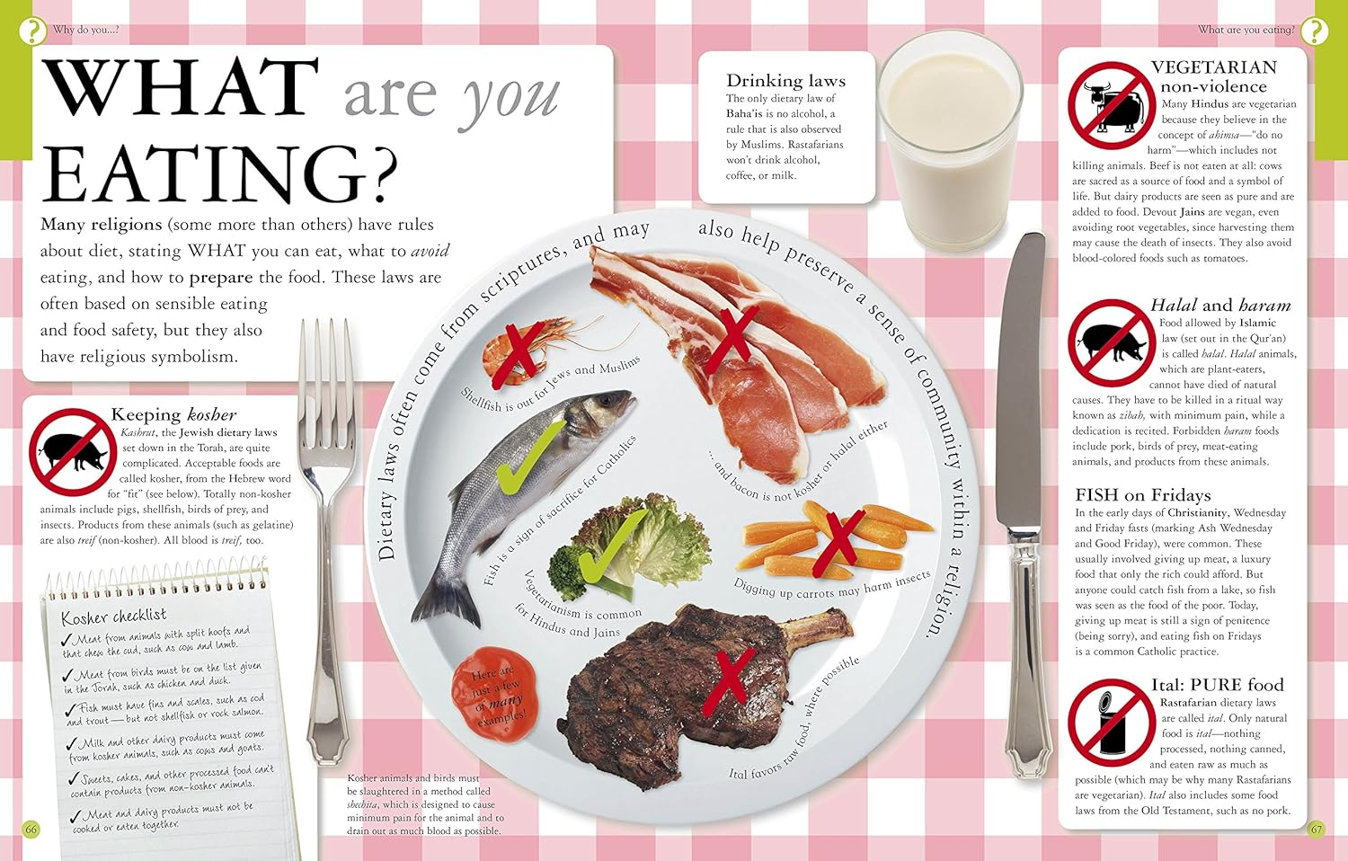 What Do You Believe?: Big Questions about Religion