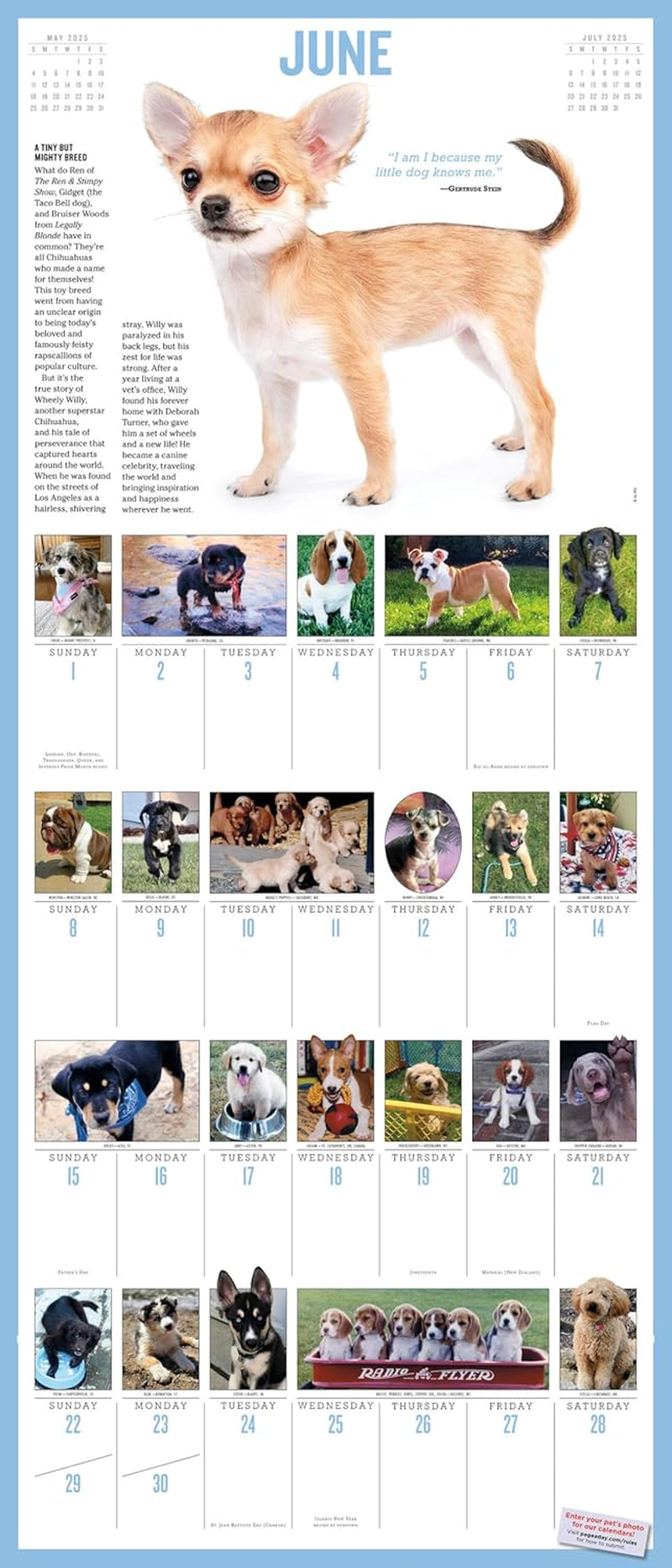 365 Puppies-A-Year Picture-A-Day Wall Calendar 2025 image number 1