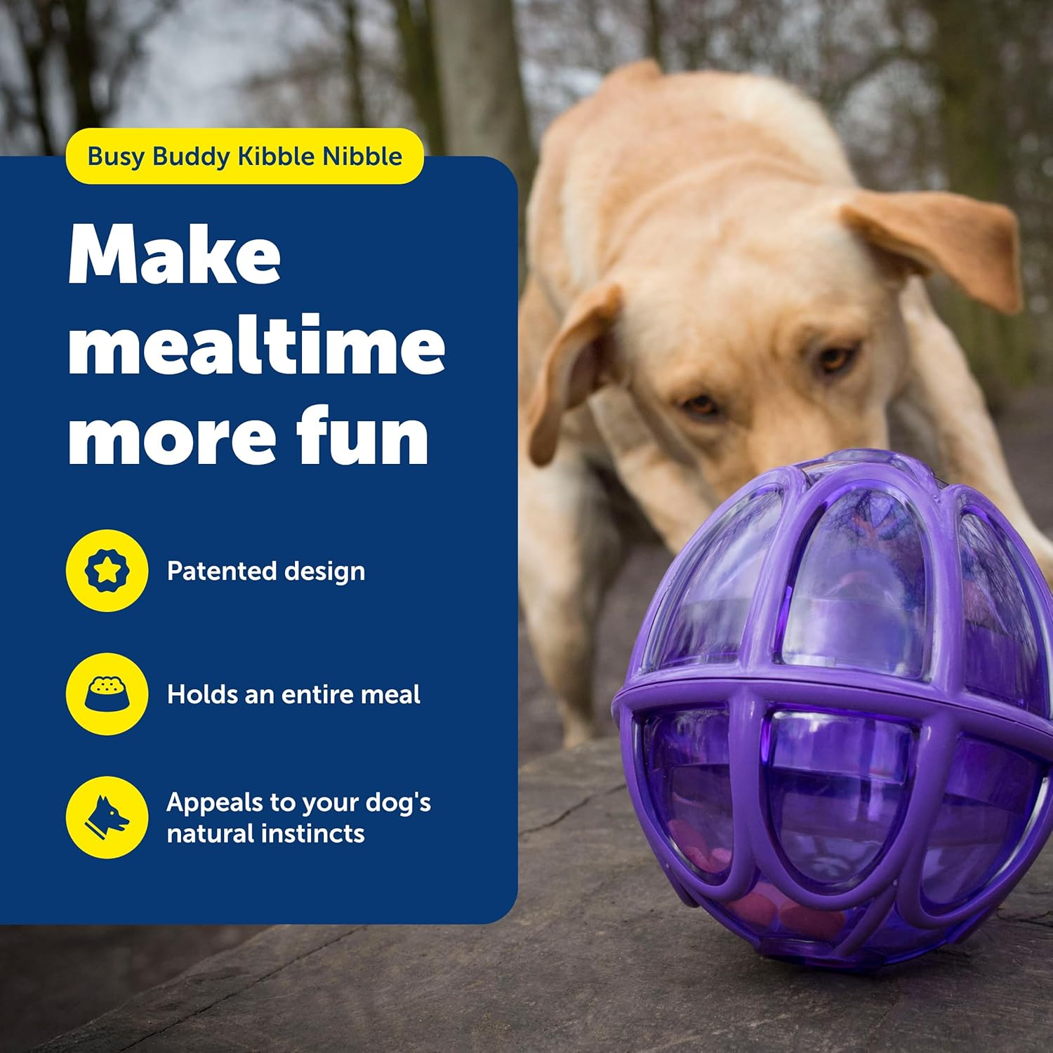 Petsafe Busy Buddy Kibble Nibble Meal Dispensing Dog Toy, Small - Pty00-13739,Purple image number 2