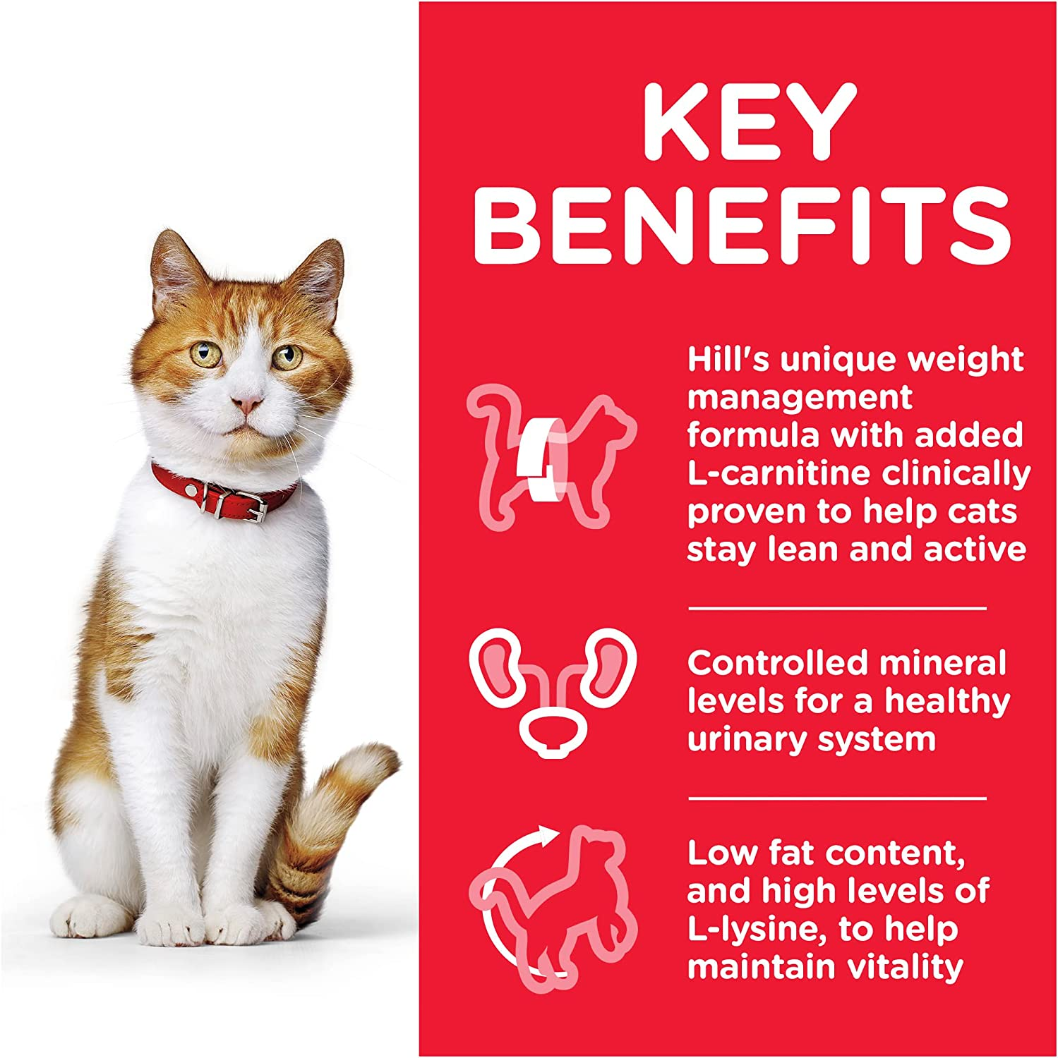 Hill'S Science Diet Young Adult Wet Cat Food, Neutered Cat, Chicken, 85G, 12 Pack, Cat Food Pouches image number 4