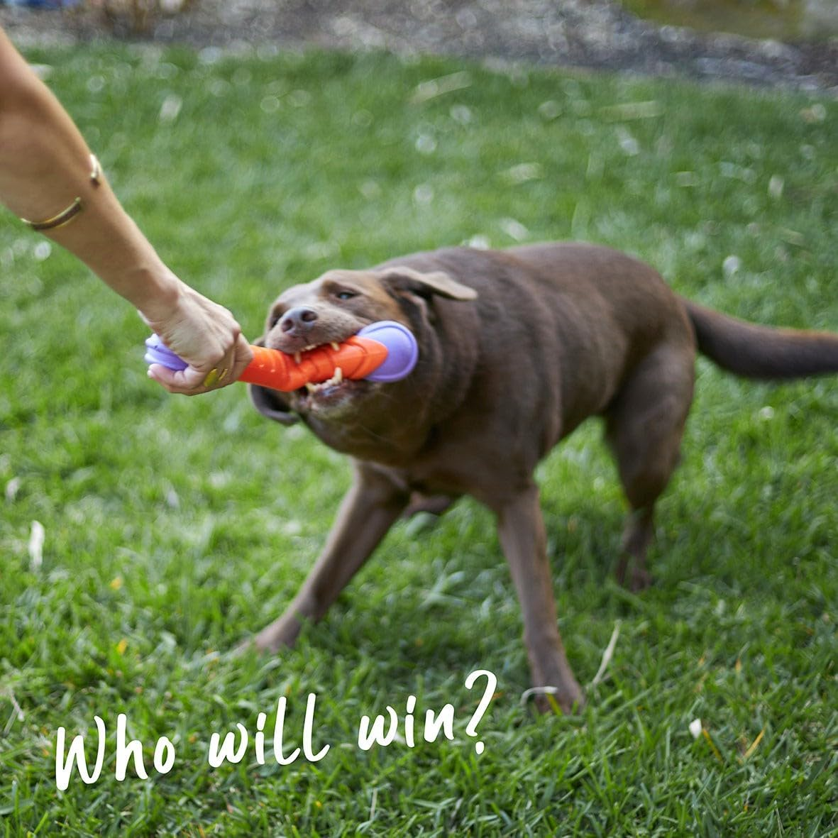 Kazoo Extreme Play Chew Stick, Large image number 1