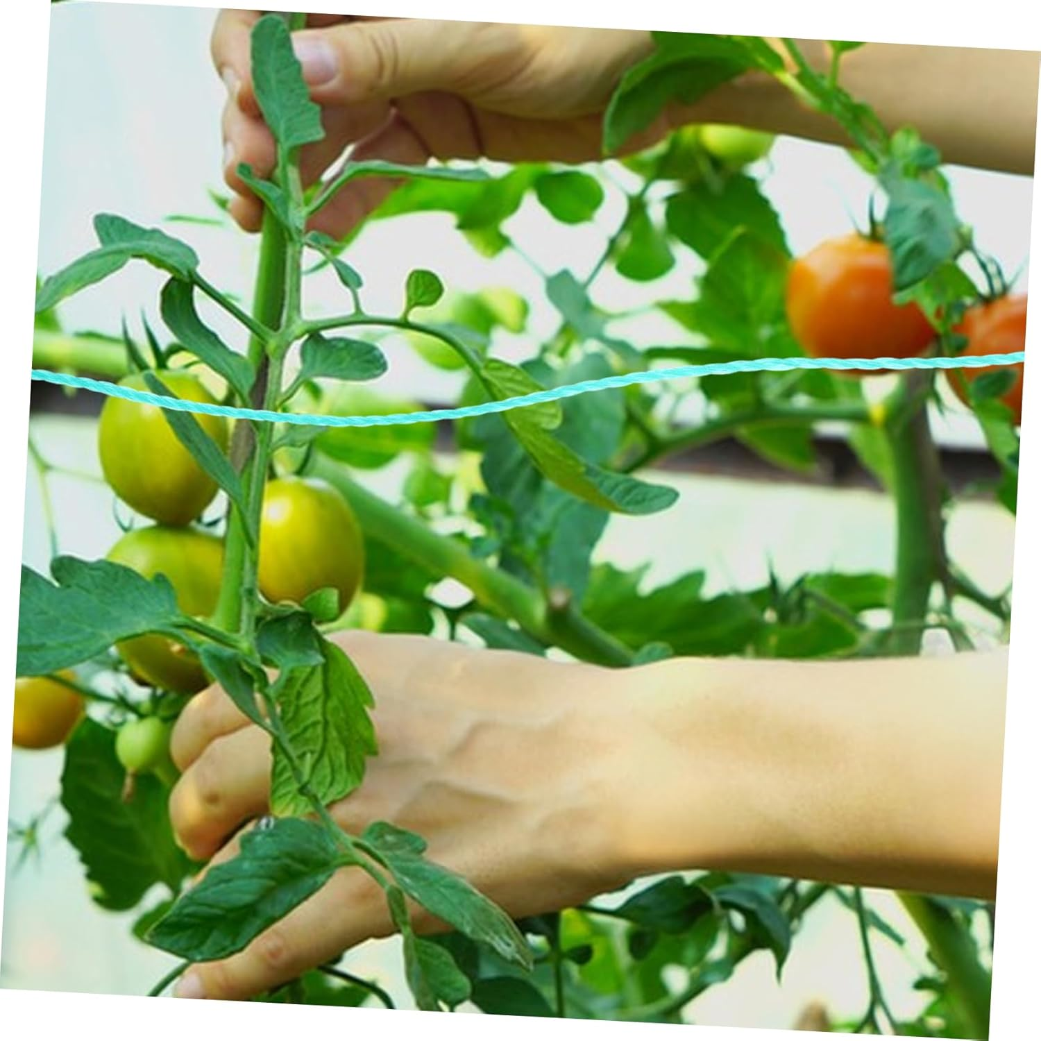 BESPORTBLE Garden Twine String for Climbing Plants Twine Rope Multi-Use Gardening Supplies Outdoor Plant Trellis image number 1