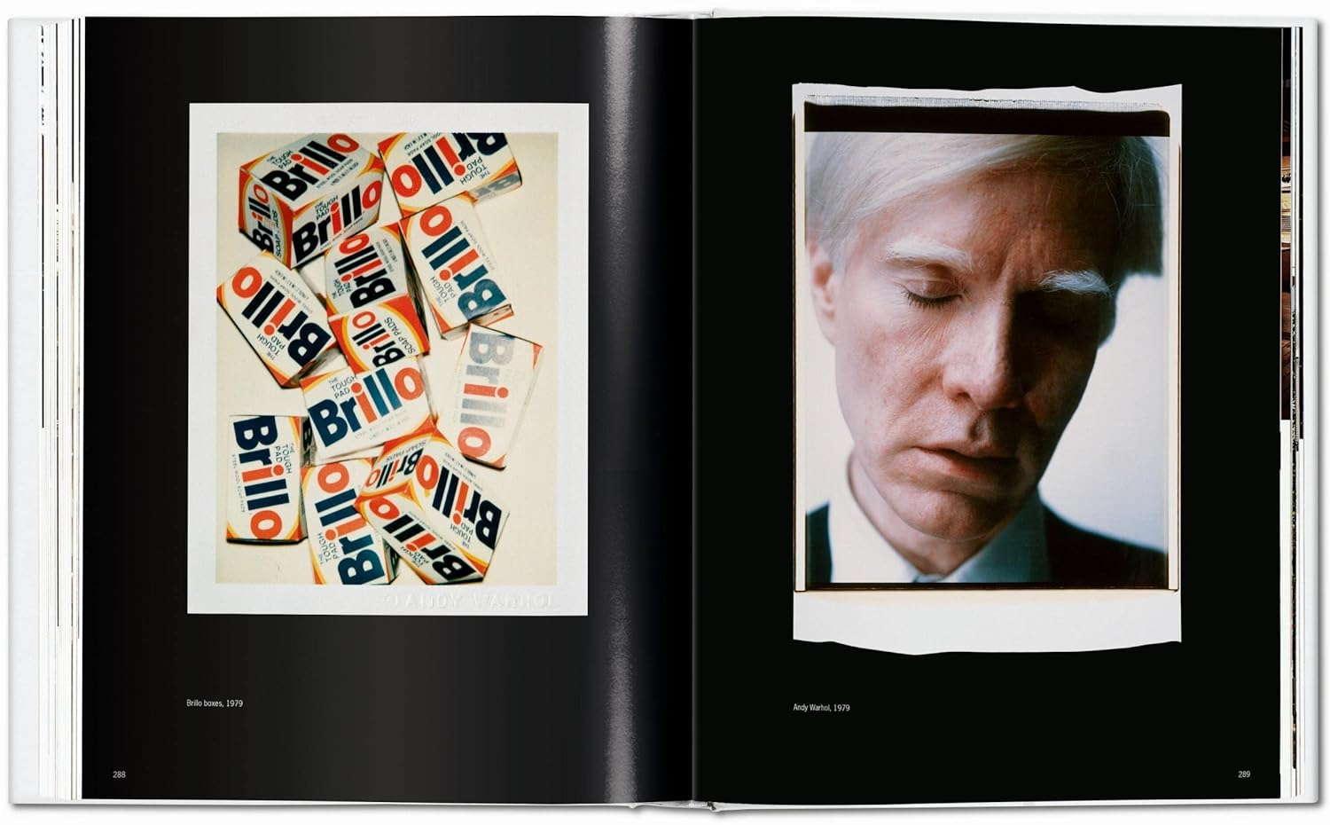 Andy Warhol. Polaroids 1958-1987: JU image number 1