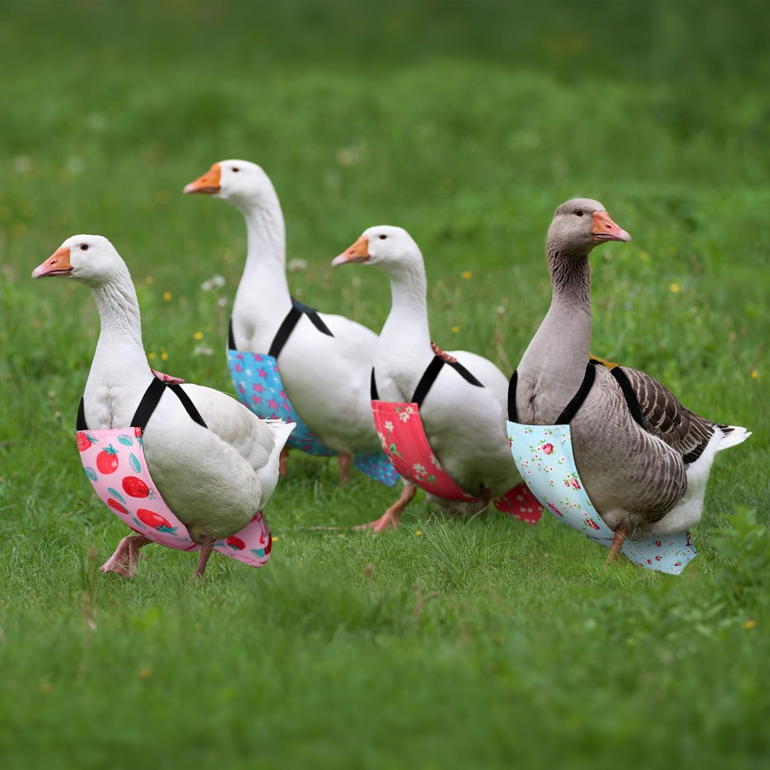 6 Pcs Washable Chicken Diapers Reusable Pet Diaper with Bow Tie for Pet Ducks Hens Goose Clothes Poultry Nappies Waterproof Adjustable for Hen Rooster Chicken(Classic,M) image number 1