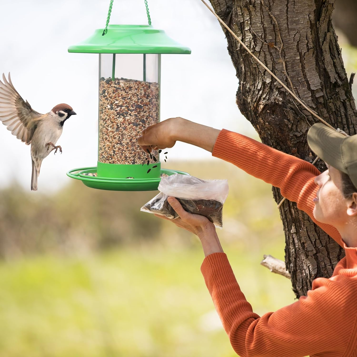 Bird Feeders Outdoors Hanging Metal: Wild Squirrel Proof Birdfeeder Waterproof - Rainproof Resistant Sunflower Seed Cardinal Birdfeeders Green
