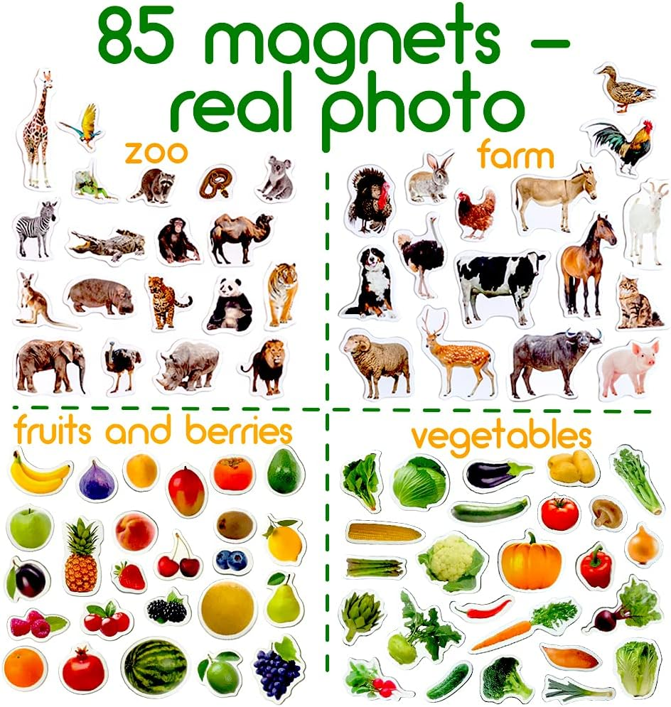 Farm Animals & Fruit & Veggie Photo Magnets - 85 Large Fridge Magnets for Toddlers - Zoo Animals - Children'S Gifts image number 5