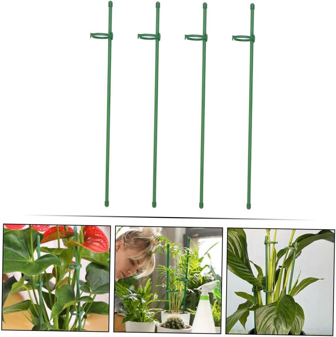 Yardenfun 12Sets Plant Support Stakes for Flower Garden Single Stem Plant Supports Garden Stakes for Growing Sticks image number 2