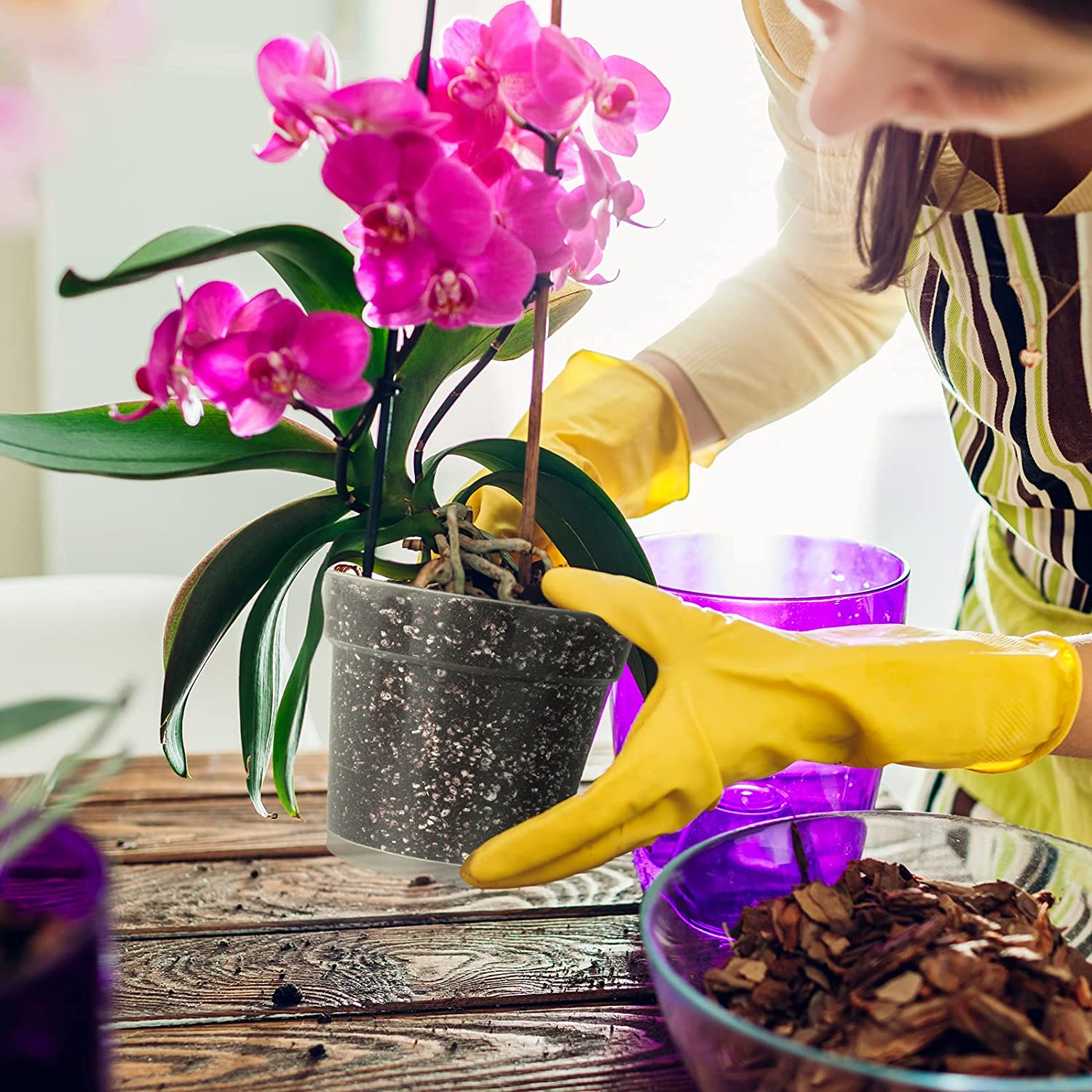 Durony 12 Pack 4.5 Inches Clear Orchid Pots with Holes Flower Plant Pot Durable Plastic Planter with 12 Pieces Plant Labels Great Drainage for Seedlings Planting image number 1
