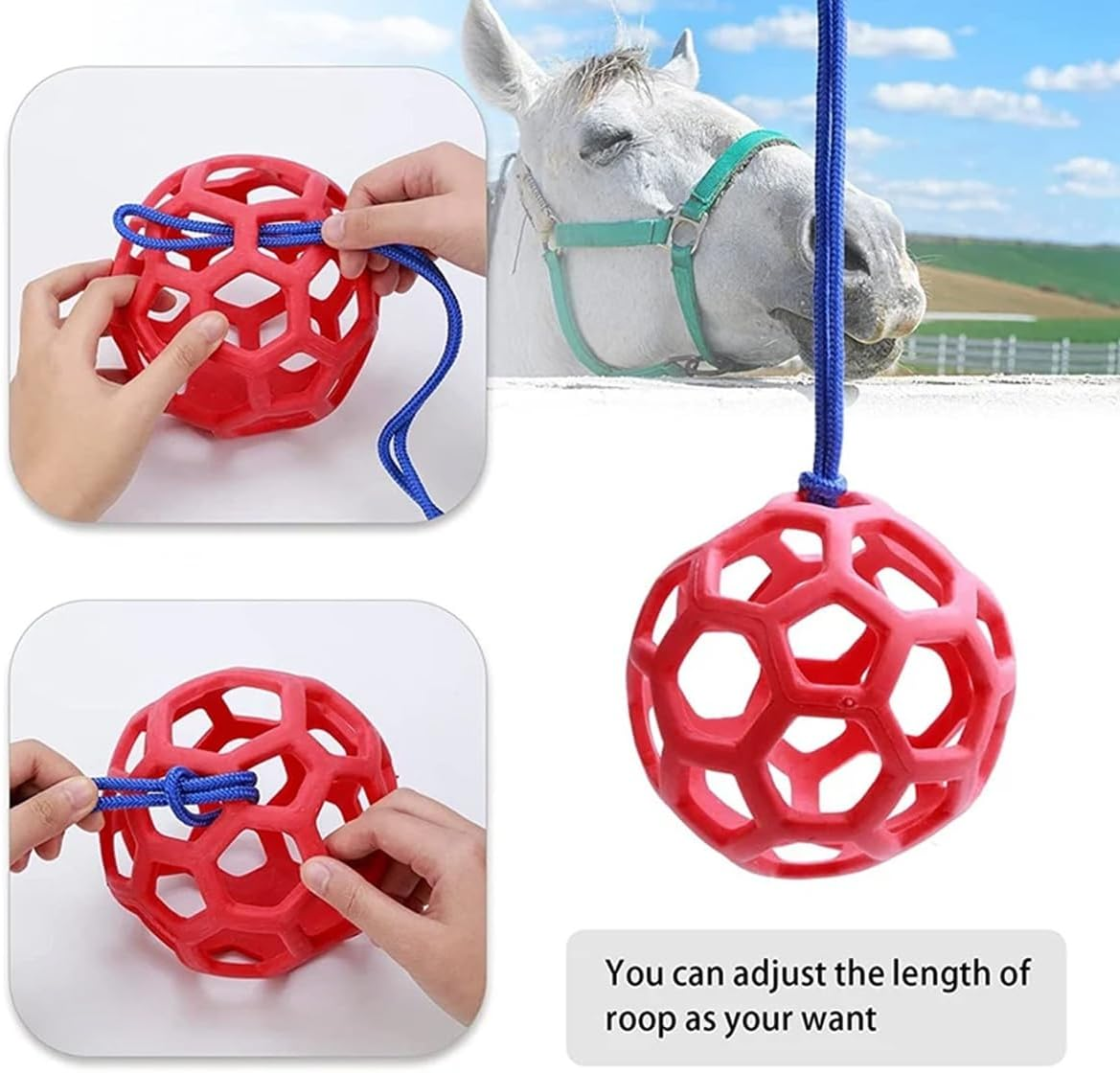 AIMALL Horse Treat Ball, Stable Hanging Hay Feeder, Polo Hay Feeding Ball Toy, 5.5 Inch Diameter, Red, Blue, Green