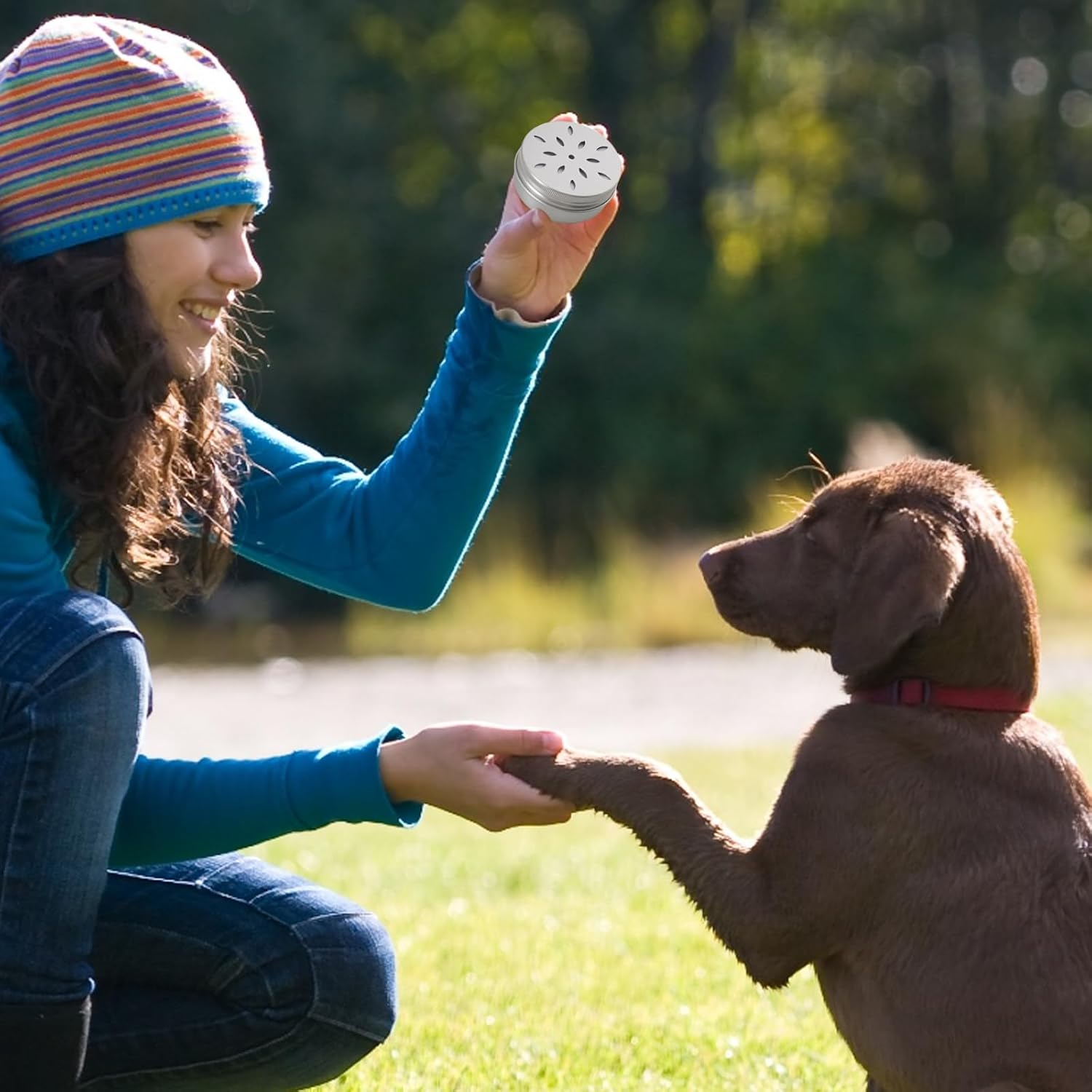 12 Pack Scent Training for Dogs Scent Dog Scent Work Tins Small Dog Food Container Nose Work Supplies for Scent Training, Aluminum Dog Scent Boxes image number 5