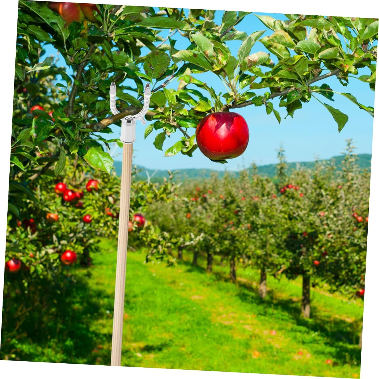 BESPORTBLE 5Pcs Fruit Tree Support Frame Aluminium Alloy Garden Plant Branch Support Tool for Fruited Tree Branches Straightening in Garden image number 1