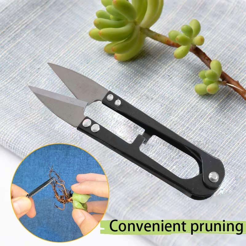 12 Pcs Succulent Tools Set Mini Transplanting Garden Tools Kit for Indoor Gardening Flower Pot Cactus Care image number 1