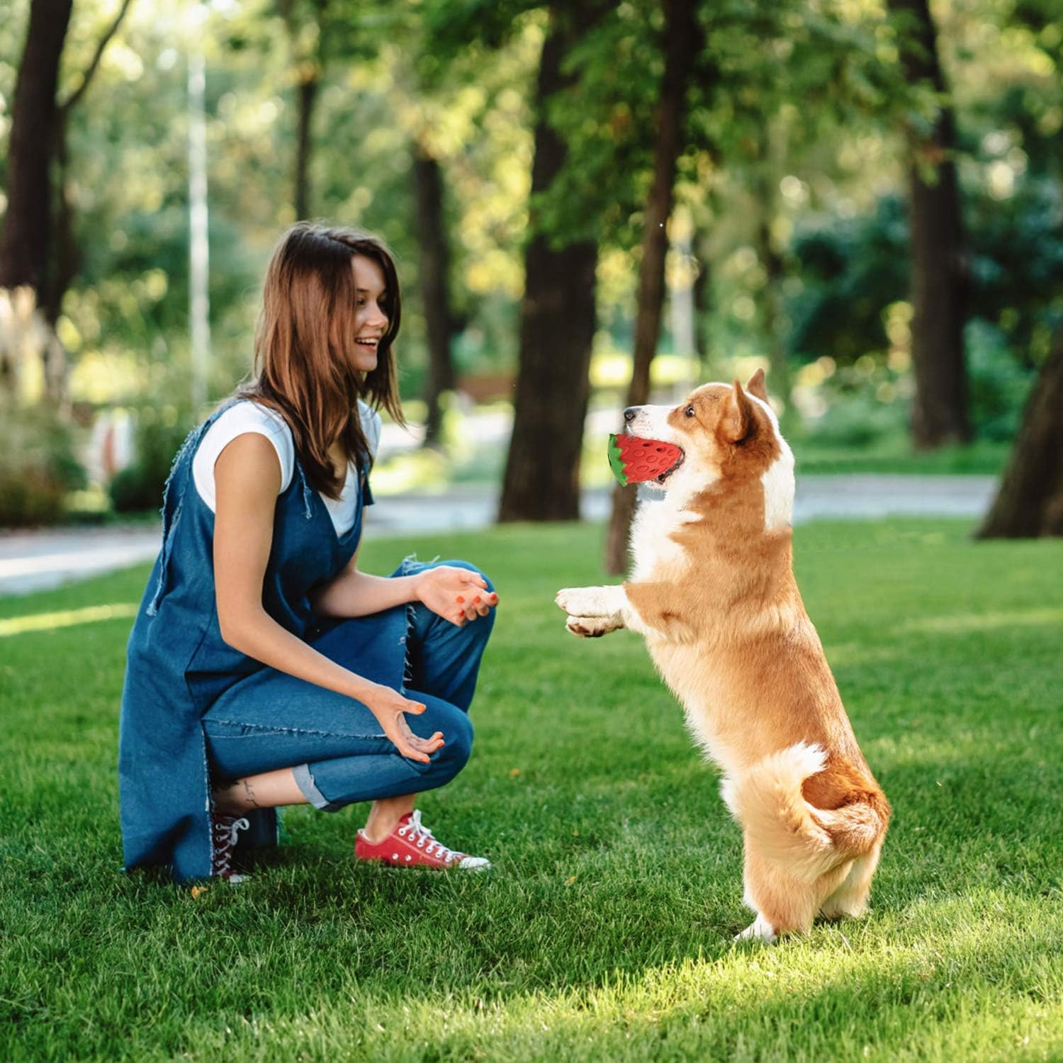 YOUMI Strawberry Dog Chew Toy for Aggressive Chewers, Durable Puppy Feeder Toys for IQ Training & Mental Enrichment, Lovely Dog Toy image number 1