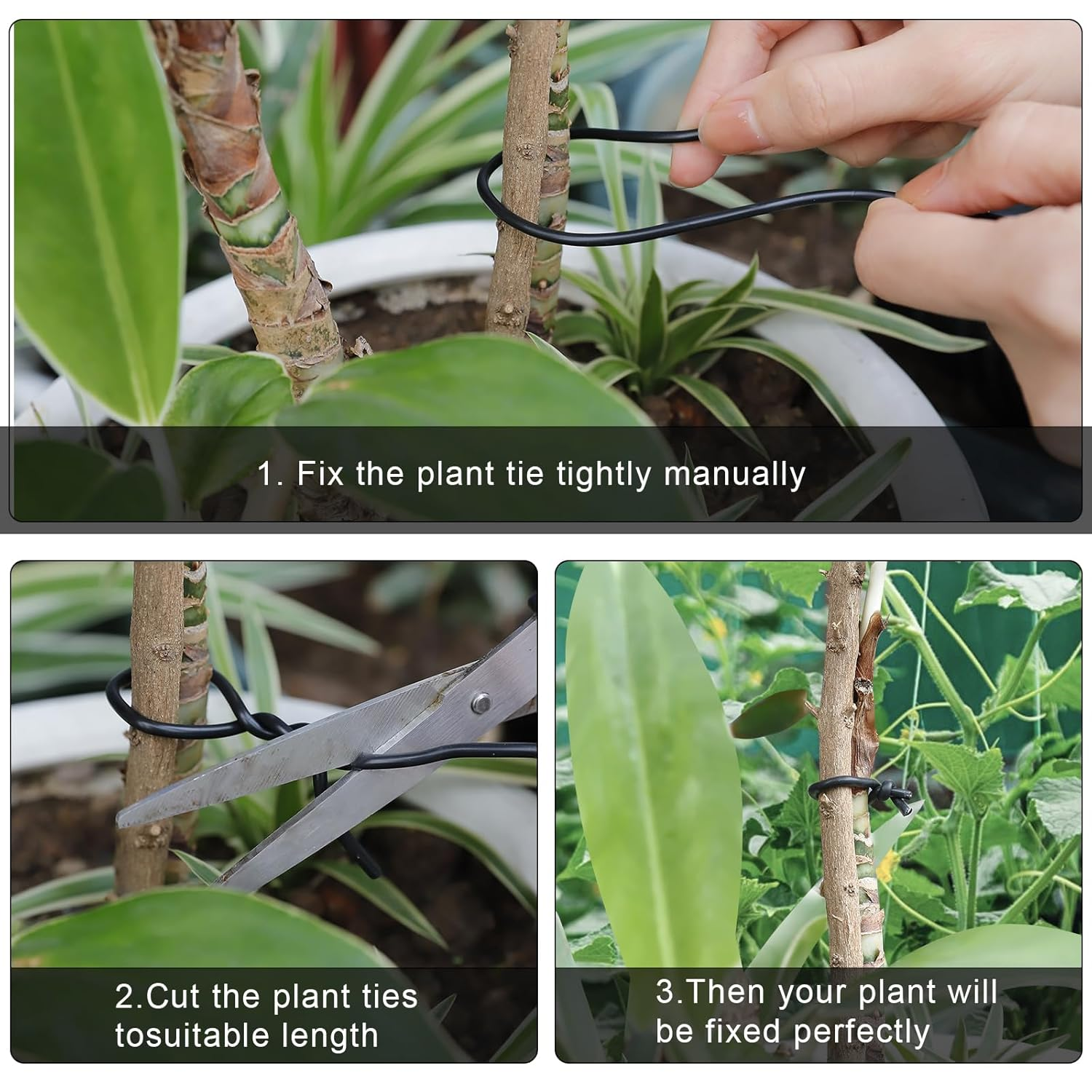 101 Feet Black Plant Twist Ties, Soft Plant Ties for Vine Support, 3Mm TPR Flexible Garden Tie for Plants Gardening Office Home Use image number 1