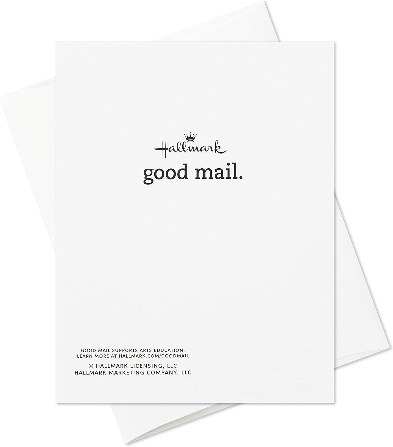 Hallmark Good Mail Boxed Christmas Cards (Christmas Tacos, 12 Cards with Envelopes) image number 2