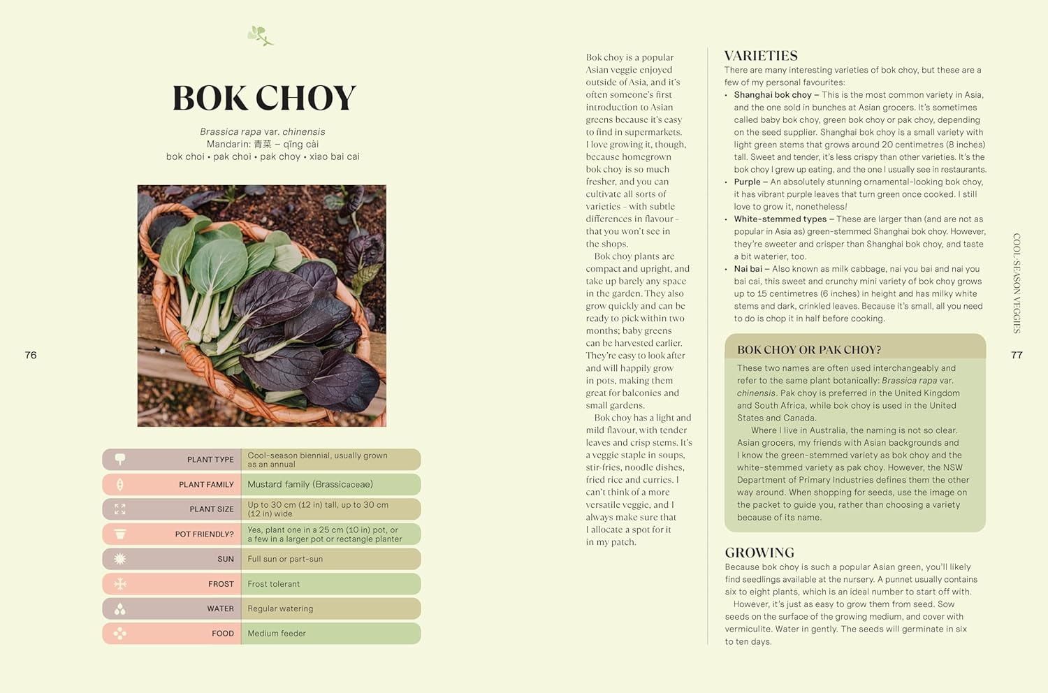 Your Asian Veggie Patch: a Guide to Growing and Cooking Delicious Asian Vegetables, Herbs and Fruits image number 2