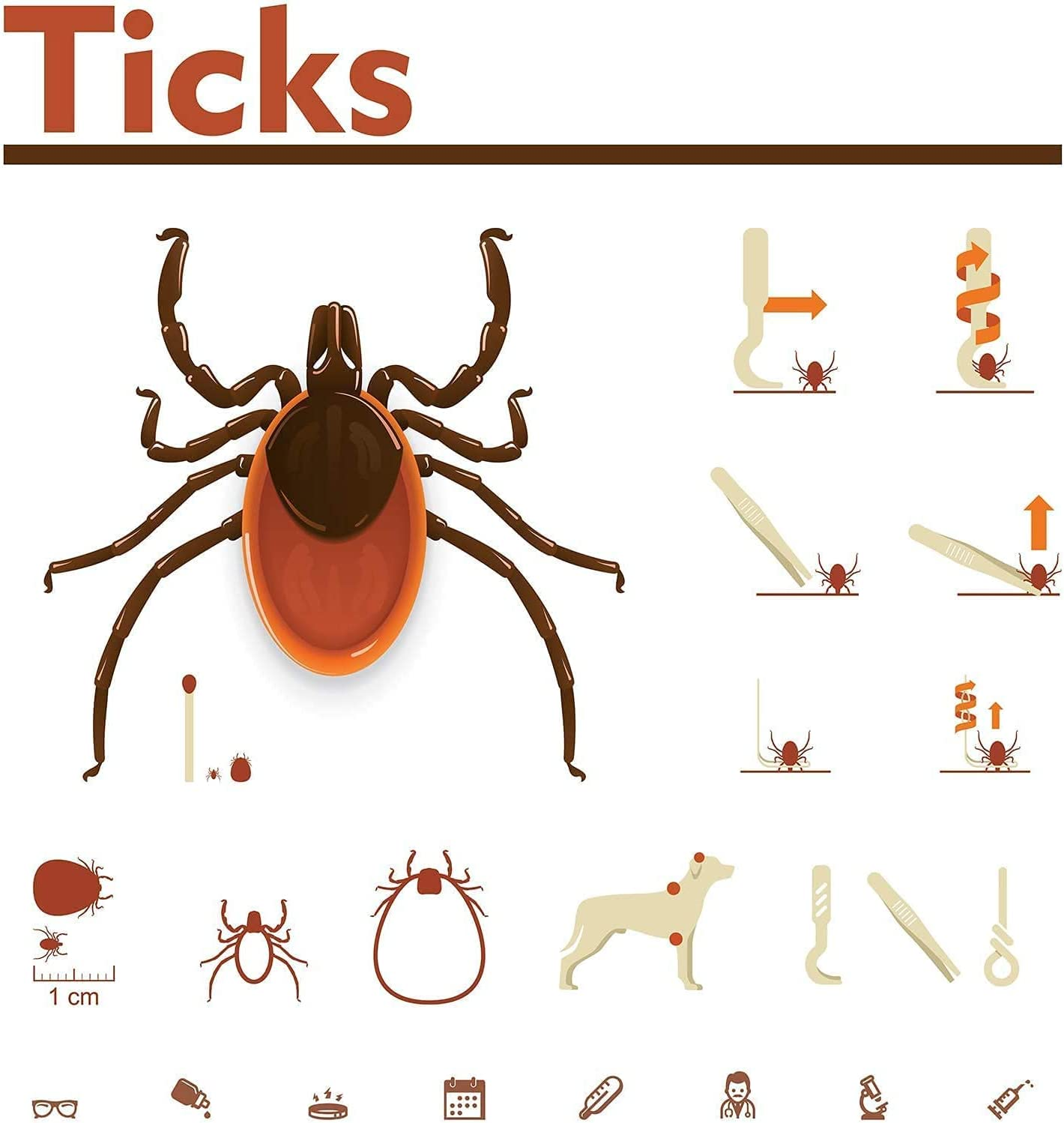 Cats and Humans Plastic Tick Puller Tick Grabber, 7Pcs Tick Remover Tick Remover Tick Puller Removal Tick Grabber,Tick Removal Tick Picker Flea Removal Tool,Tick Hook Louses Pliers Remover,Orange