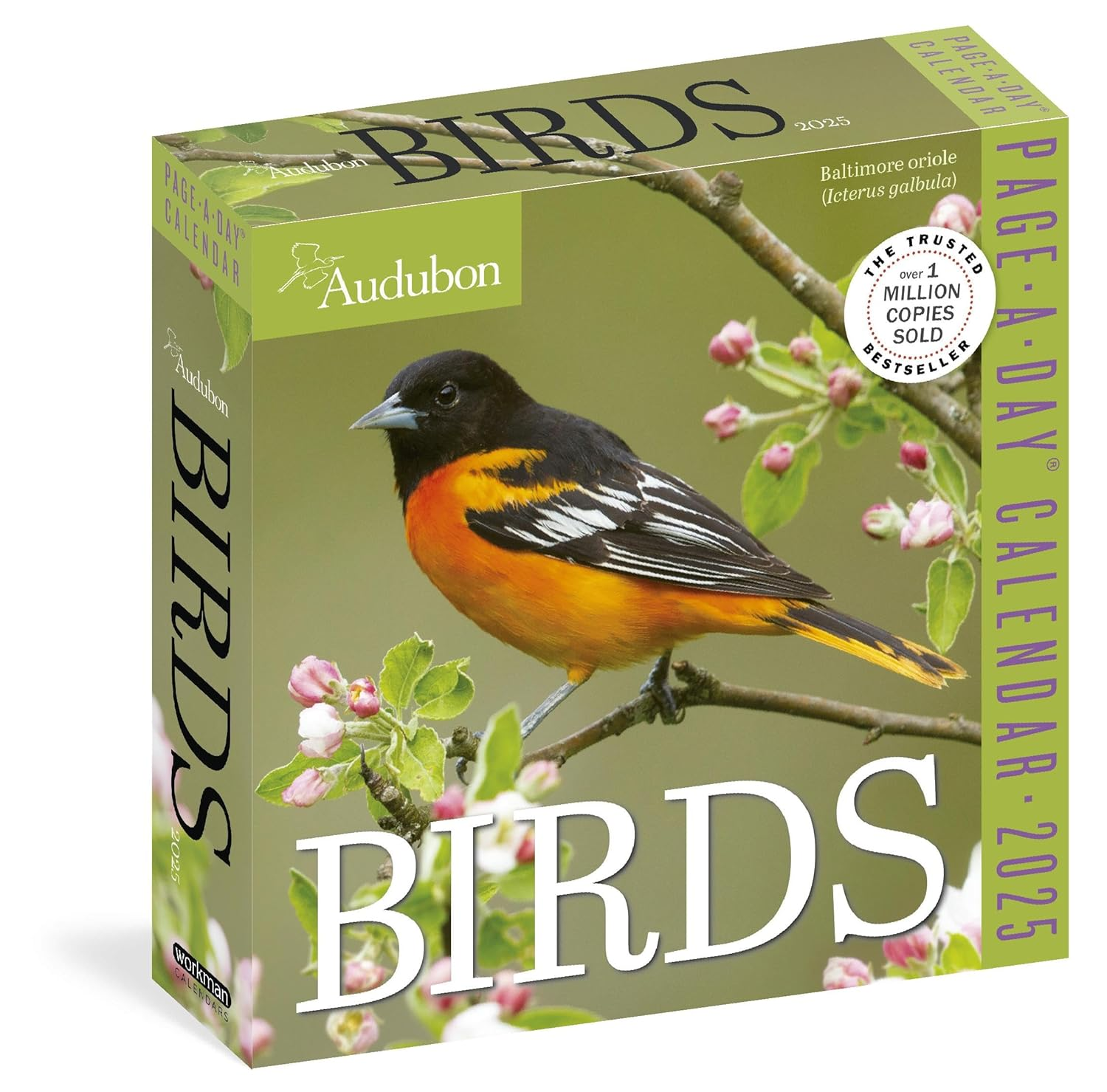 Audubon Birds Page-A-Day Calendar 2025: the World'S Favourite Bird Calendar image number 6