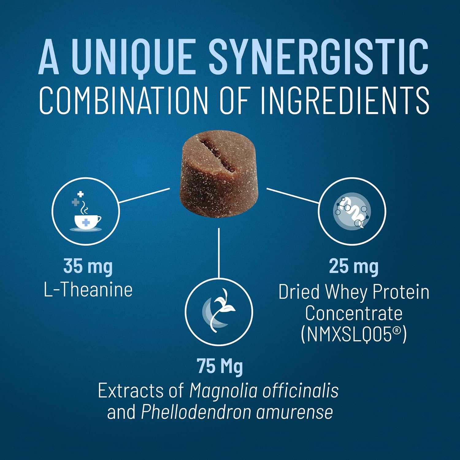 Nutramax Solliquin Calming Behavioral Health Supplement for Small to Medium Dogs and Cats - with L-Theanine, Magnolia/Phellodendron, and Whey Protein Concentrate, 75 Soft Chews