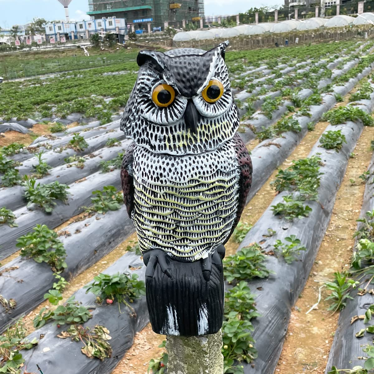 Skycabin Realistic Owl Decoy to Scare Birds Away with Rotating Head,Humane Decoy Deterrent,Natural Scarecrow Fake Owl for Bird/Pigeon/Crow Scarer from Garden,Patio,Yard,Boats and Vulnerable Buildings image number 1