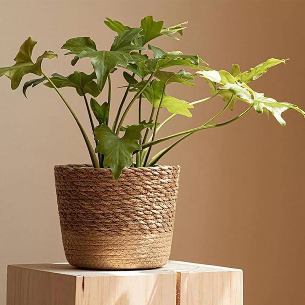 3 Pcs Handwoven Seagrass Planter with Waterproof Layer, Woven Tea Room Storage Baskets, Multi-Size Plant Pots &Organizer Bins, Rustic Coffee Brown Home Decor, for Living Room, Bedroom, Office image number 4