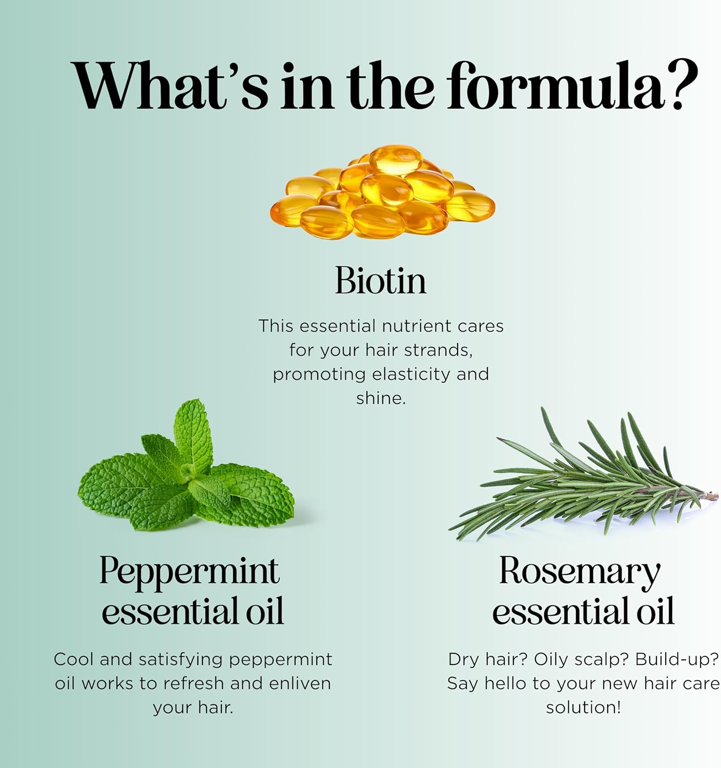 Biotin Rosemary Shampoo and Conditioner Set - Vegan Sulfate Free Biotin Shampoo and Conditioner Set Hair Growth Complex with Volumizing Rosemary Essential Oil for Fine Weak & Dull Hair image number 2