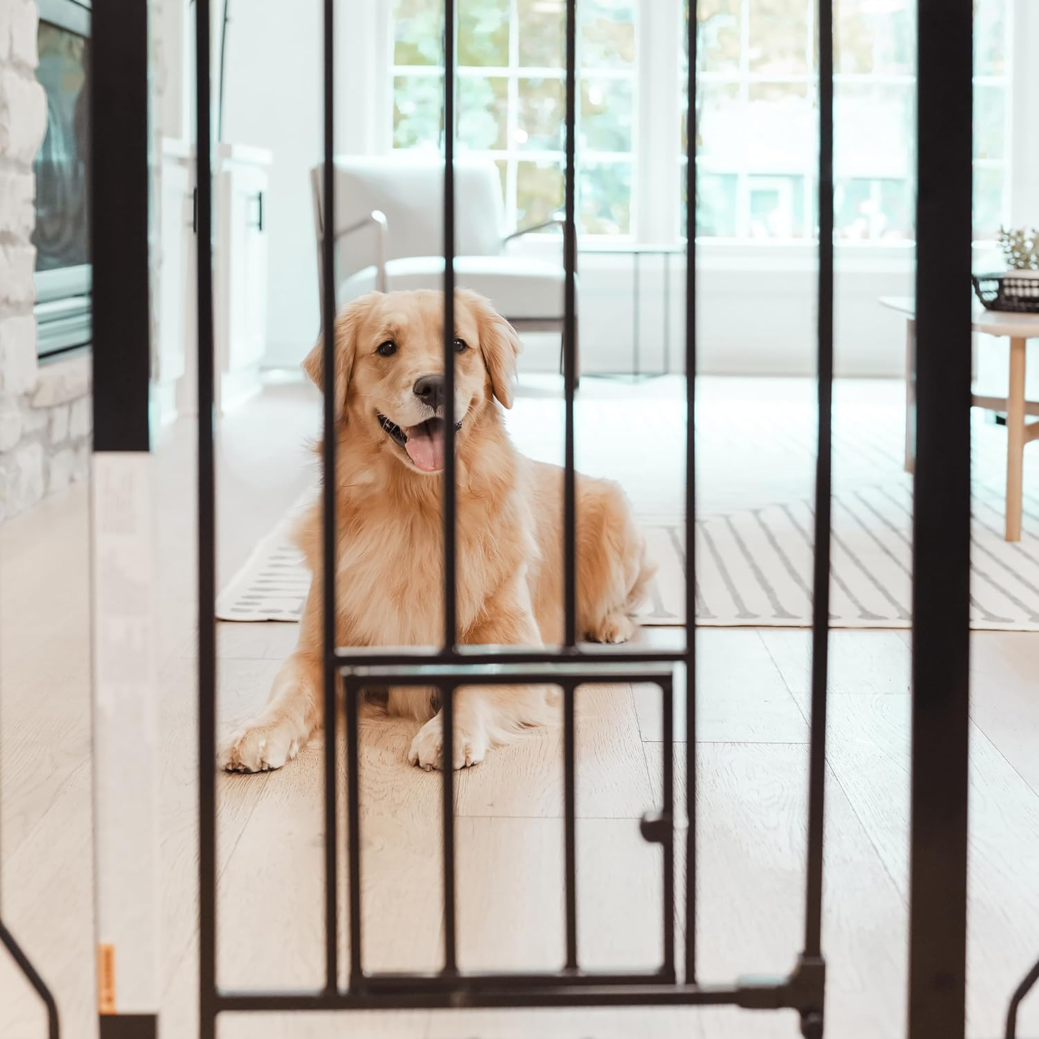 Carlson Extra Tall Walk through Pet Gate with Small Pet Door, for Openings 29"-39" Wide,Includes 4-Inch Extension Kit, 4 Pack Pressure Mount Kit and 4 Pack Wall Mount Kit, Black image number 1