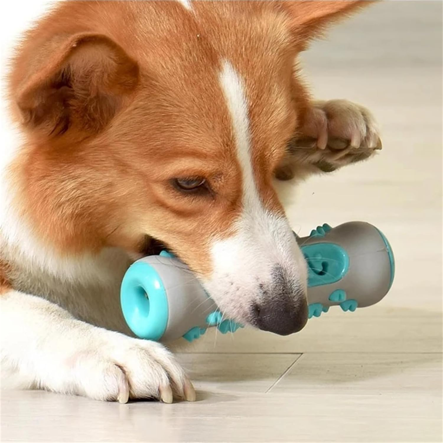 The Poochchew,2024 New Dog Chew Toothbrush,Dog Teeth Cleaning Toy,360&deg;Dog Toothbrush Chew Toy,Molar Chew Provides a Deep Clean Teeth Puppy Dental Care (3Pcs) image number 5