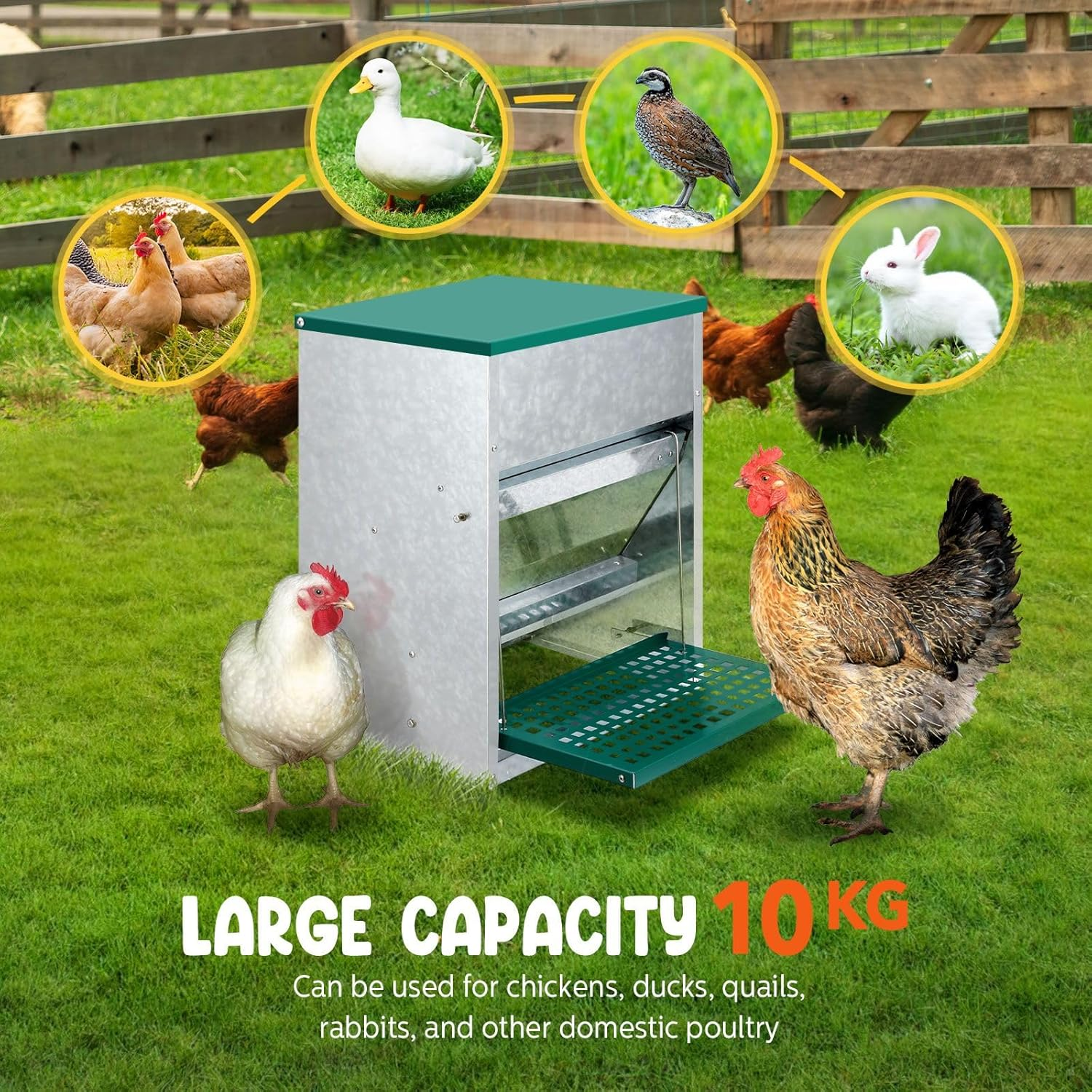 Auto Chicken Feeder 10Kg Automatic Treadle Poultry Chook Rat Proof Food Dispenser Feeding Equipment Galvanized Steel image number 4