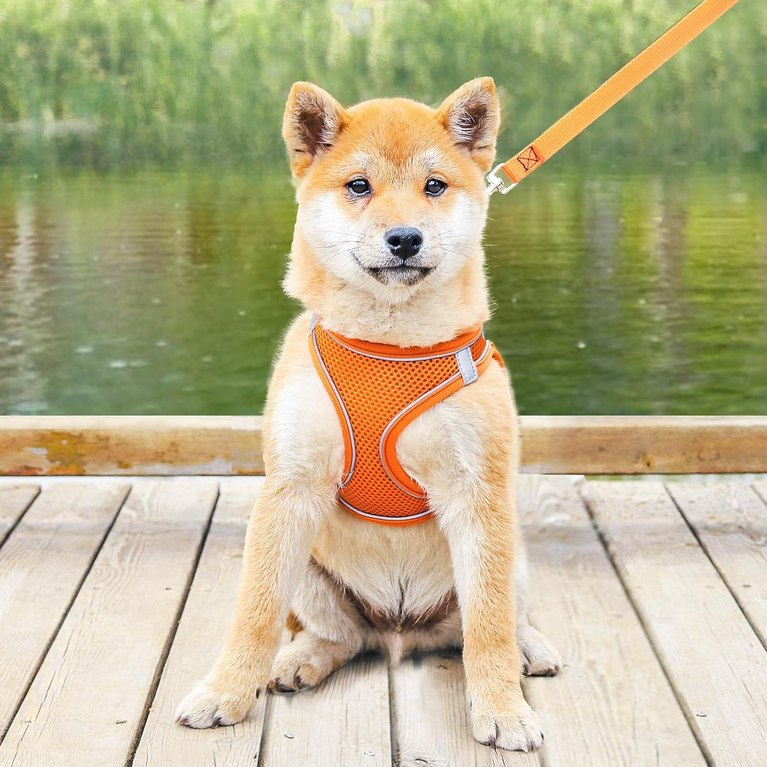 Dog Harness, Adjustable Step in Dog Harness for Large Dog, Reflective Puppy Harness for Puppy Training, Large Dog Vest Harness (Orange, M) image number 4