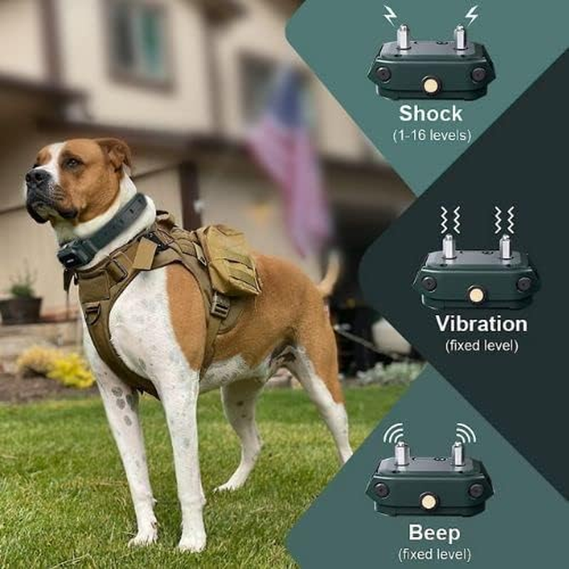 HW900 Waterproof Outdoor Dog Training Collar for Medium to Large Dogs with Remote, Beep Tone, Vibration, and Bark Control (2 Collars)