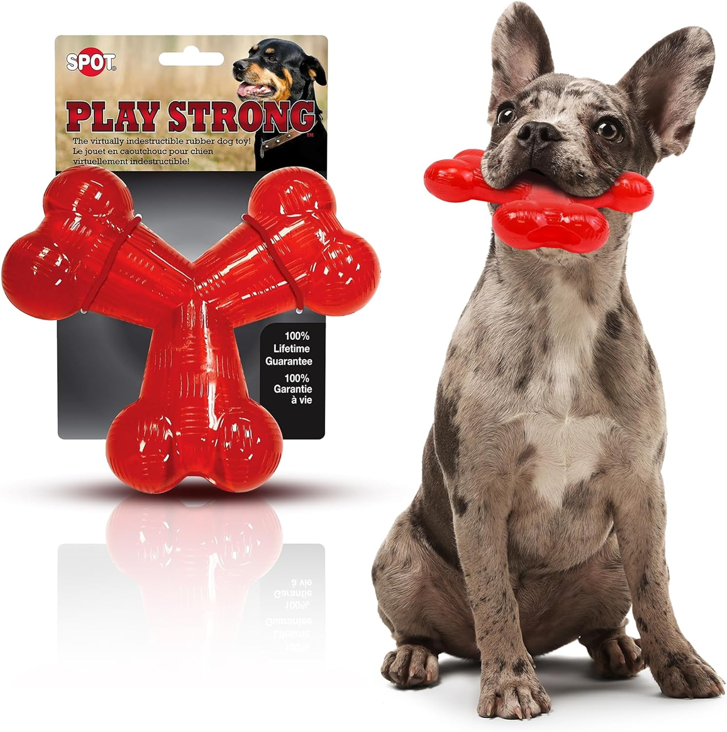 SPOT by Ethical Products - Play Strong - Trident Bone - Dog Toy for Aggressive Chewers Interactive Durable Dog Toy Red 6-Inch