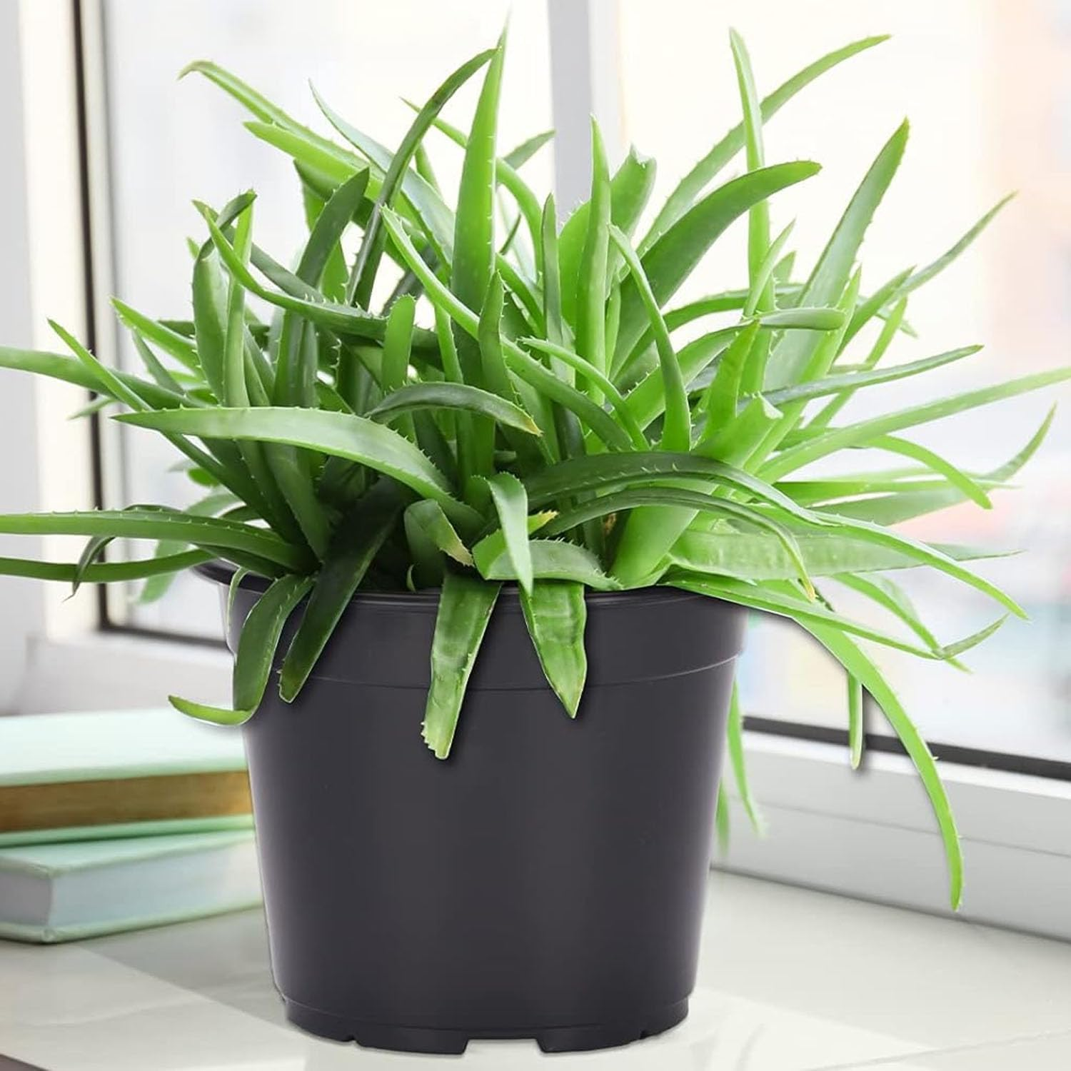 20 Pack Small Nursery Pots,Black Thick Seedling Pots,Plant Pots with Drainage Holes for Indoor Outdoor,Plants Decorative Planters for House Plants image number 2