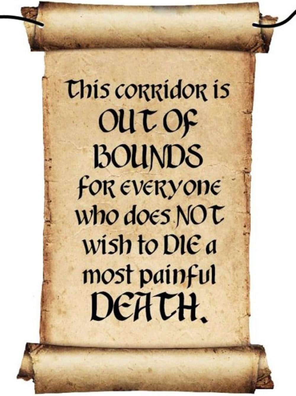 Amscan Harry Potter Hanging Door Decoration with Hanging Rope