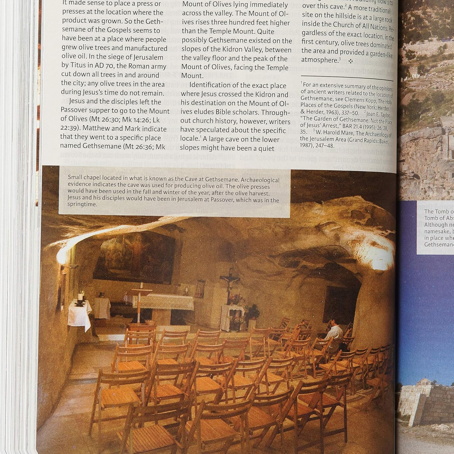 CSB Holy Land Illustrated Bible, Ginger Leathertouch image number 6