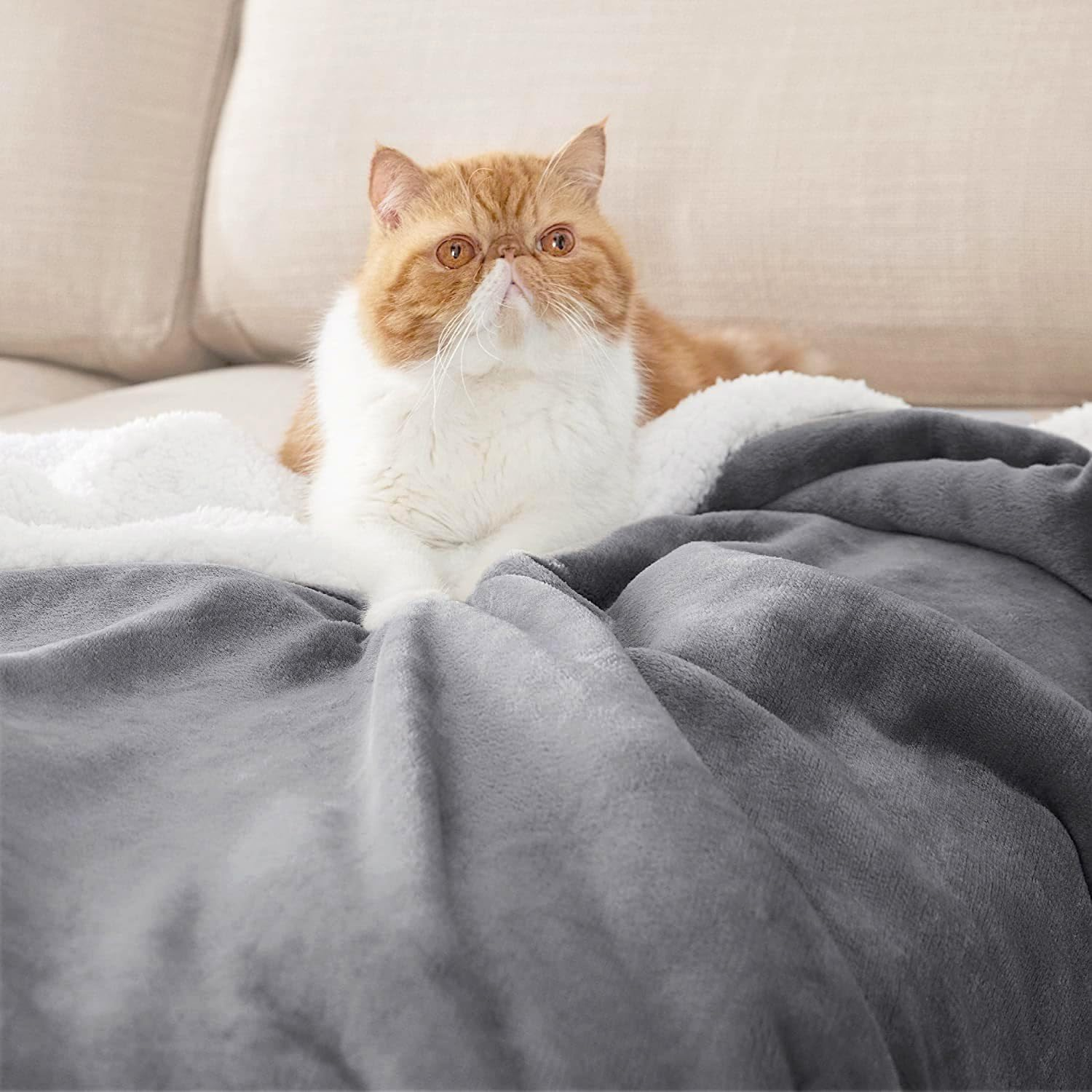 Waterproof Dog Blanket - 3-Layer Flannel Dog Throw Reversible Washable Pet Blankets Warm Sleep Bed Cover for Cat Dog Protector Cover for Bed Couch Sofa Pet Nest (Grey, 150 * 127 Cm) image number 6