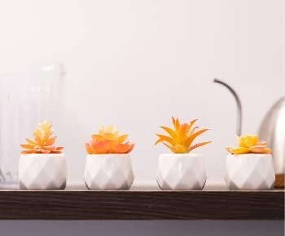 Viverie Autumn Orange Artificial Succulent Plants in White Ceramic Pots for Aesthetic Fall Decor, Fireplace Decor, Fall Office Decoration, Office Gifts, Living Room - Faux Plant Included (Set of 4) image number 4