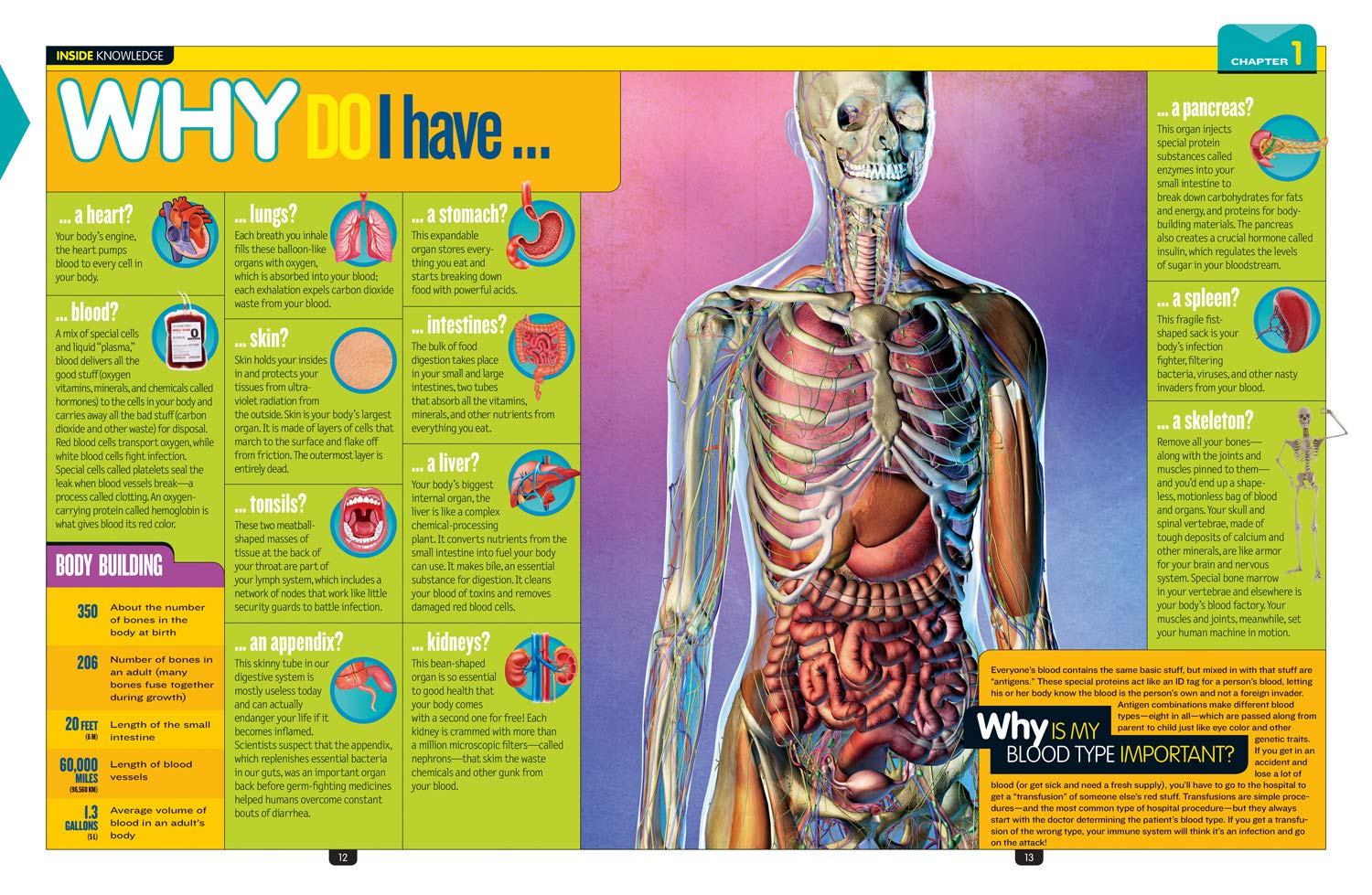 Fun Facts: Why? over 1,111 Answers to Everything image number 3