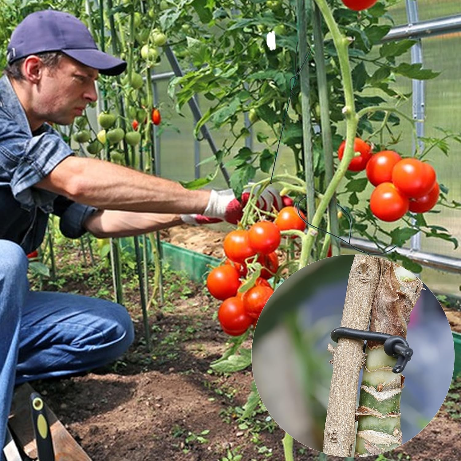 101 Feet Black Plant Twist Ties, Soft Plant Ties for Vine Support, 3Mm TPR Flexible Garden Tie for Plants Gardening Office Home Use image number 6