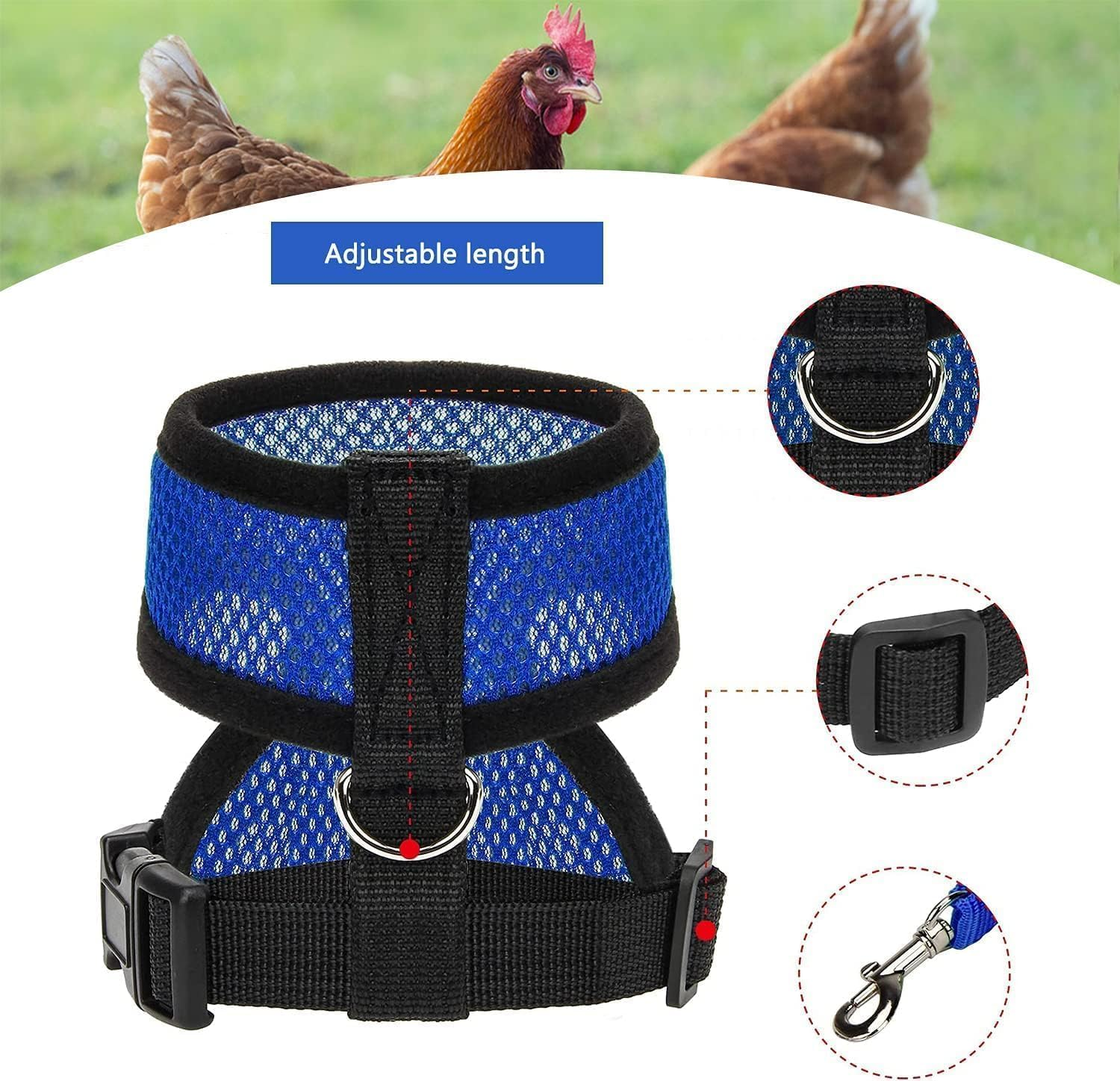 Chicken Harness and Leash, Modified Adjustable Breathable Harness Specially Designed for Rooster and Hens Duck Goose Training and Walking Size (Blue, XL) image number 2