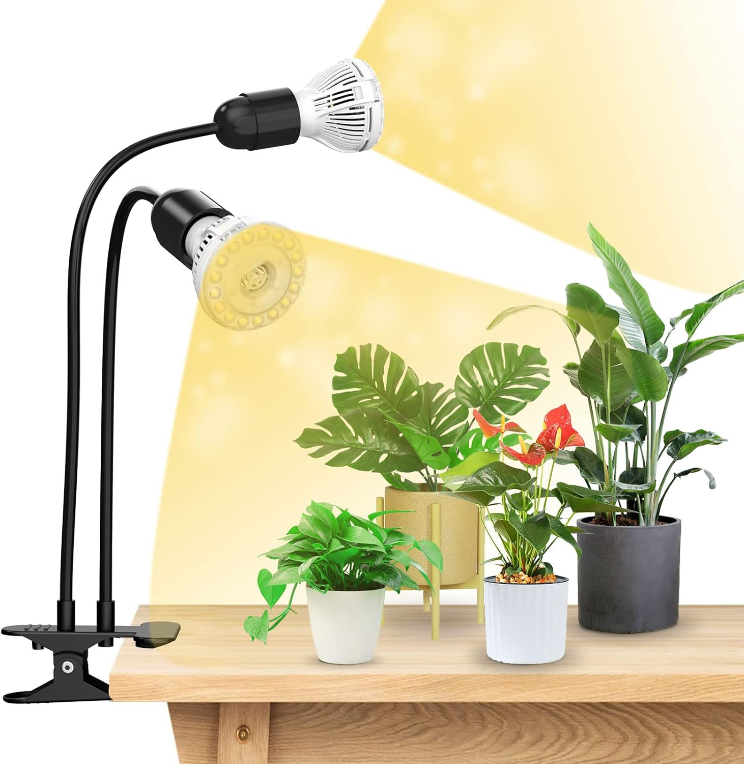 SANSI Plant Lamp 20 W Full Spectrum Growth Lamp, Strong Grip Clip Fixed, 360&deg; Gooseneck, Suitable for Indoor Plant Growth, Garden, Greenhouse, with 2 E27 Plant Growth Lamps, Metal image number 3