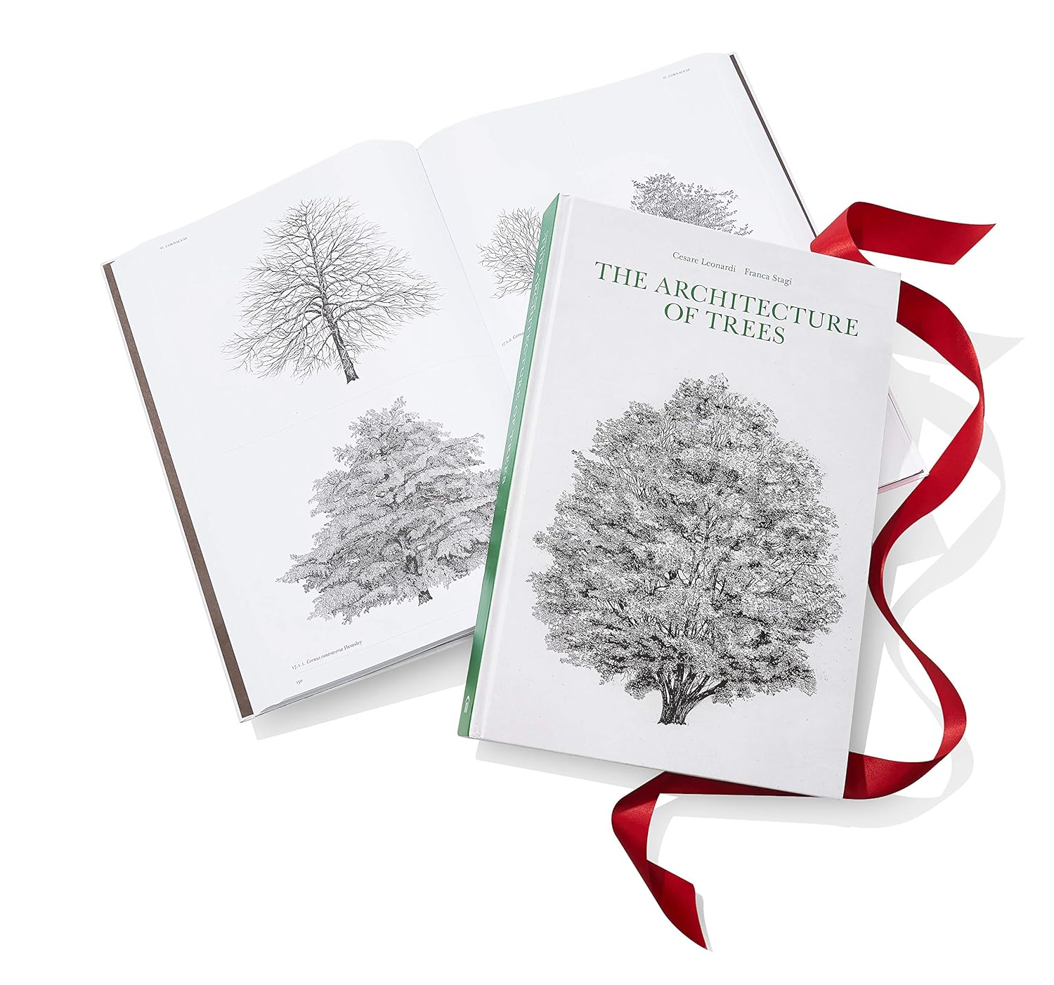 The Architecture of Trees image number 4